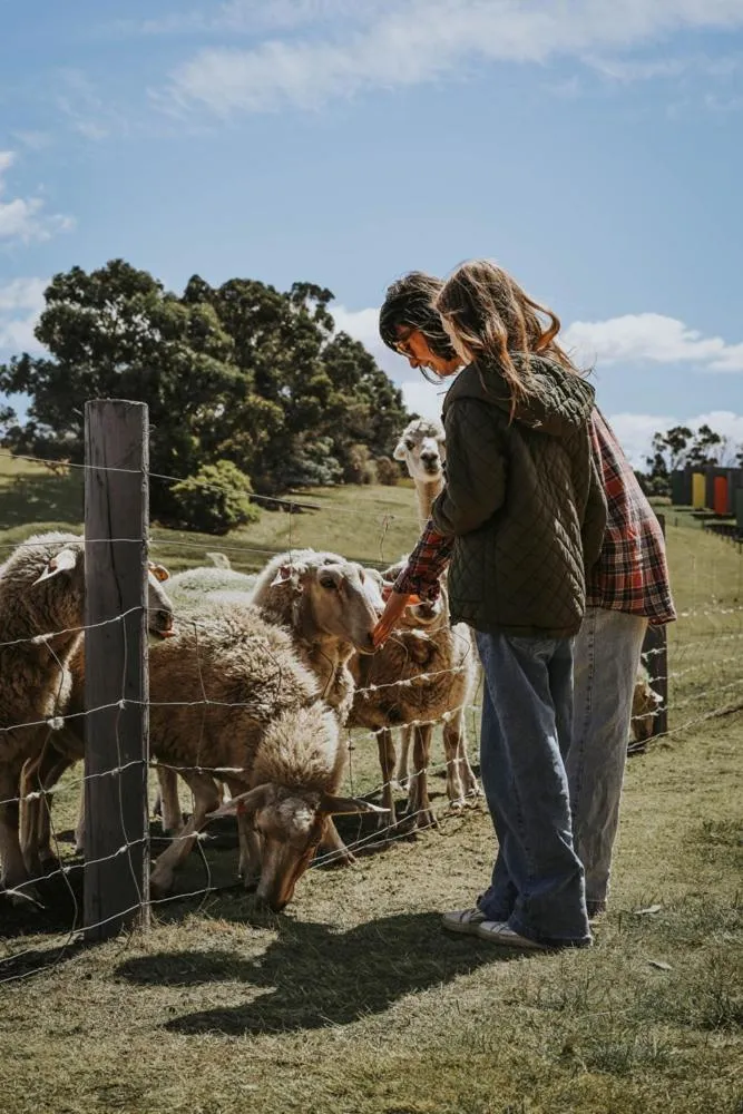 Activities in Iron Creek Bay Estate