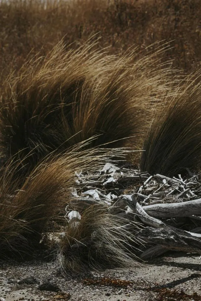 Natural landscape in Iron Creek Bay Estate