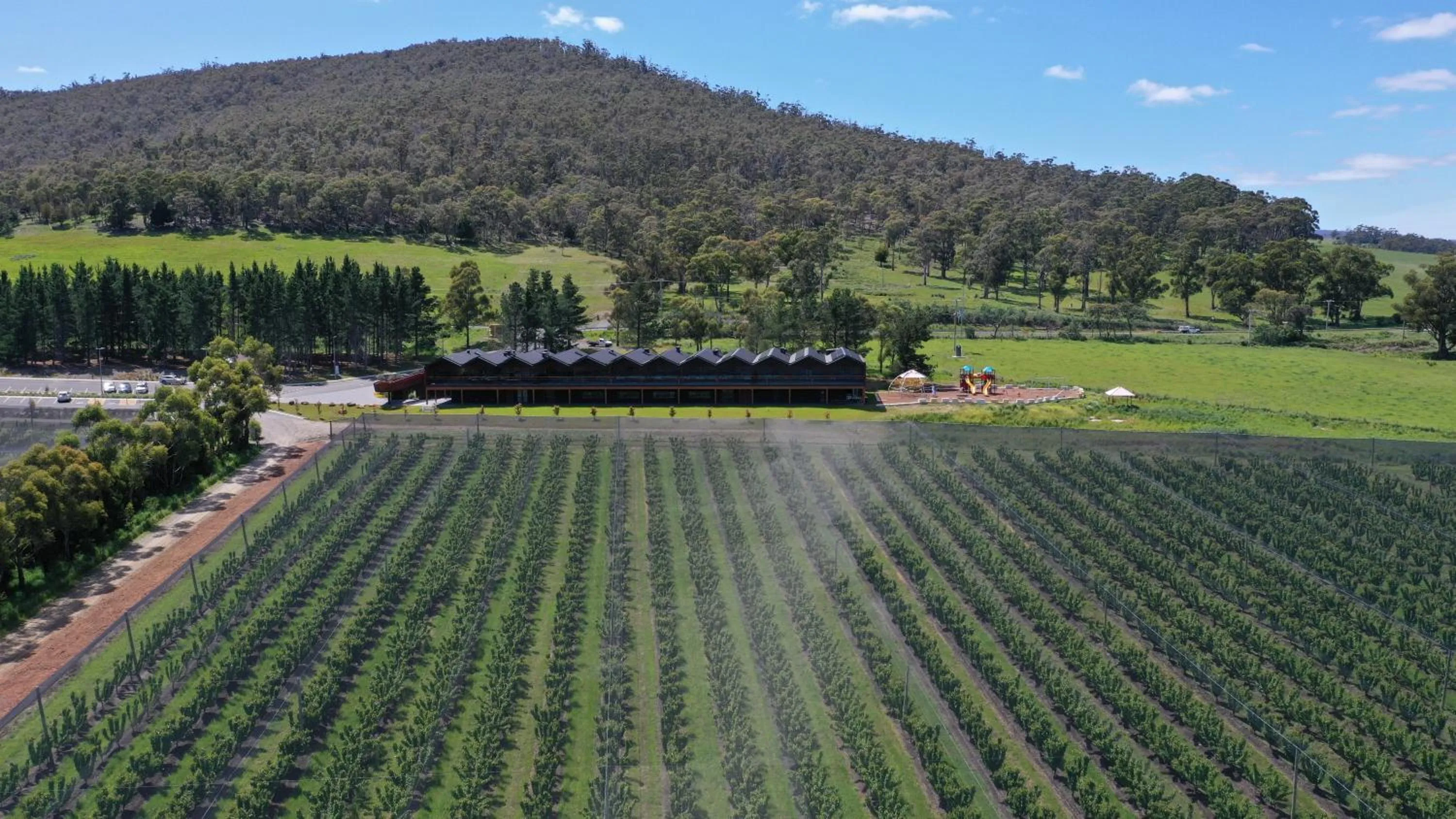 Natural landscape in Iron Creek Bay Estate