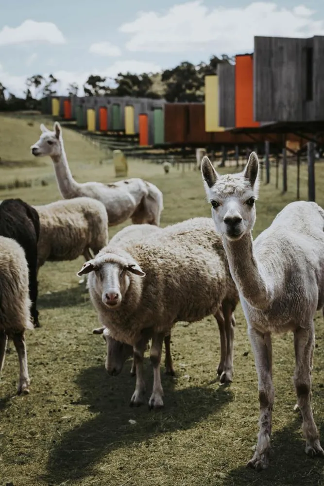 Activities in Iron Creek Bay Estate