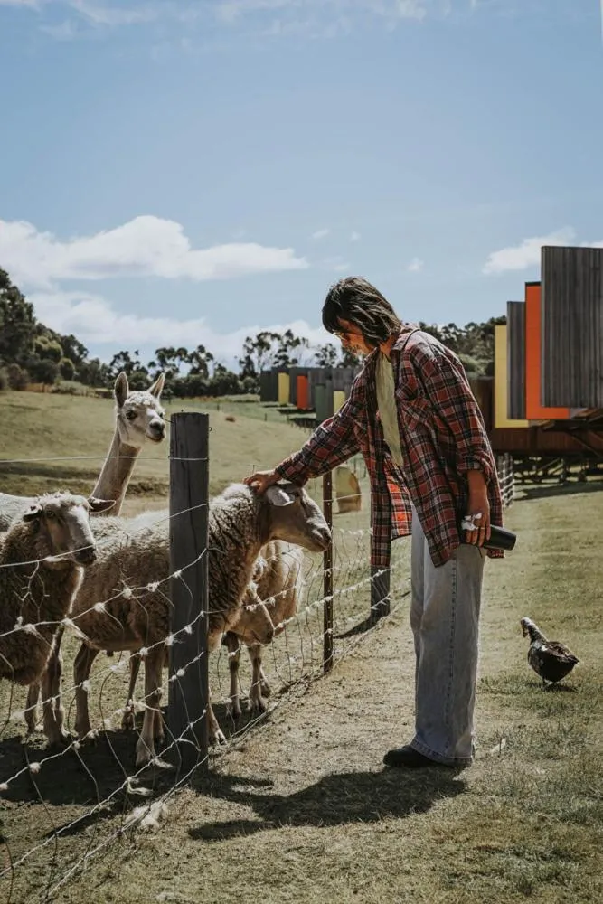 Activities in Iron Creek Bay Estate