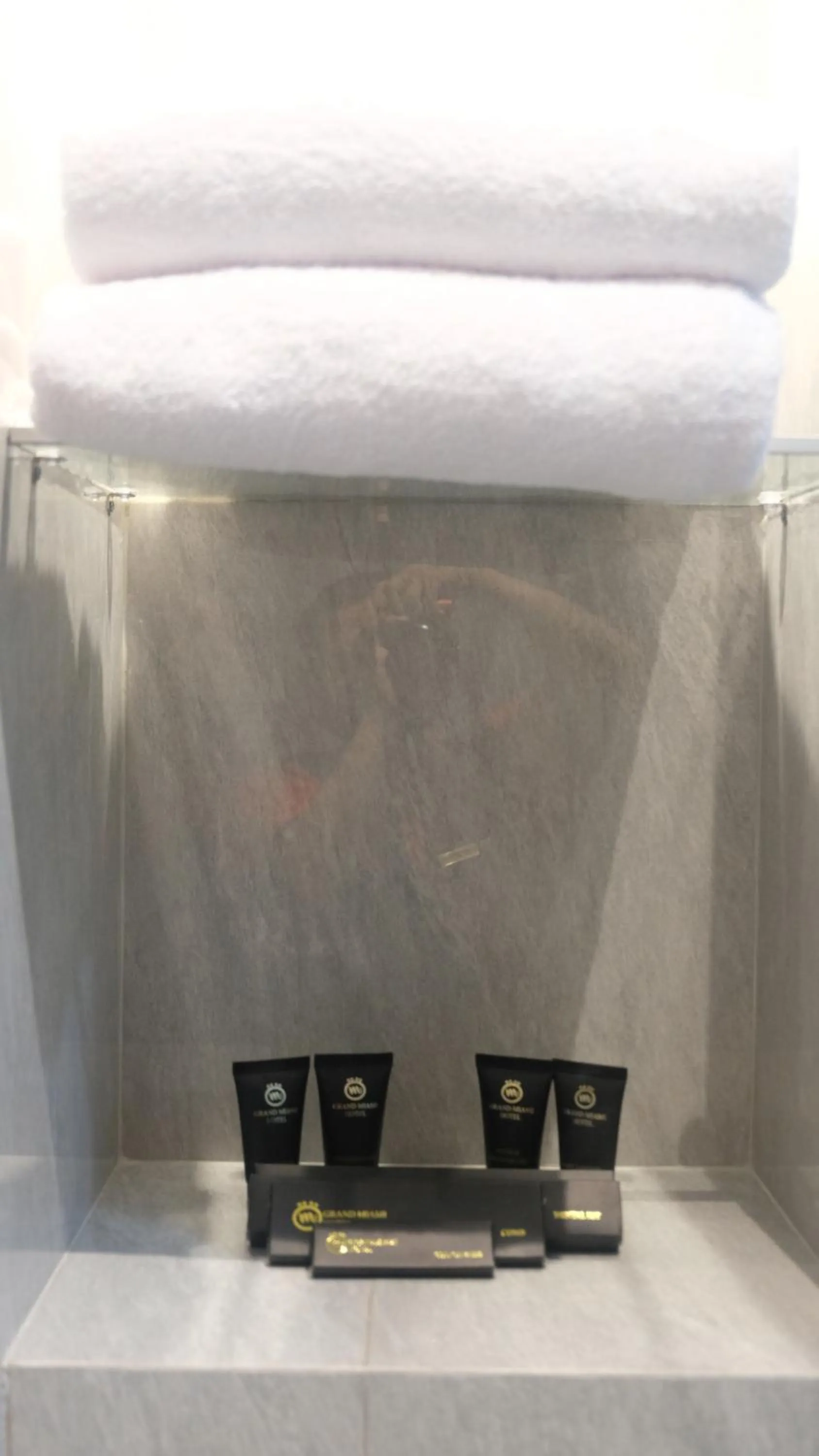 Toilet in Grand Miami Hotel