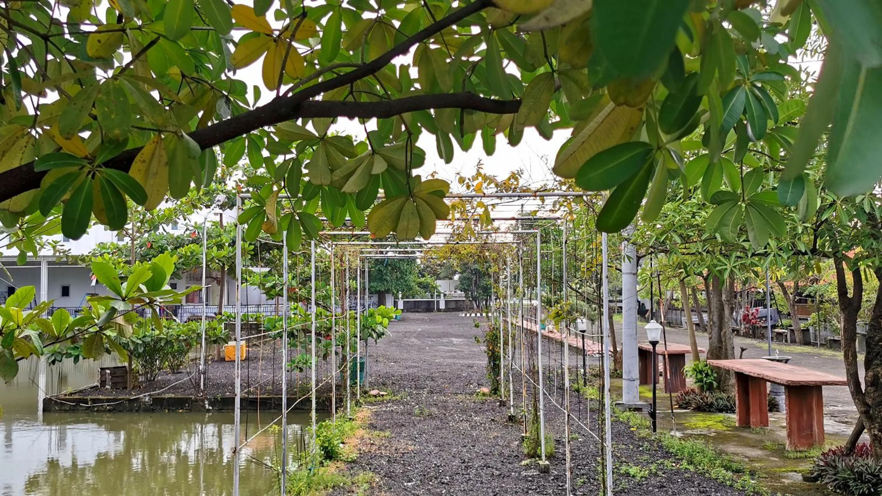 Neighbourhood in Hotel Aqiilah Syariah