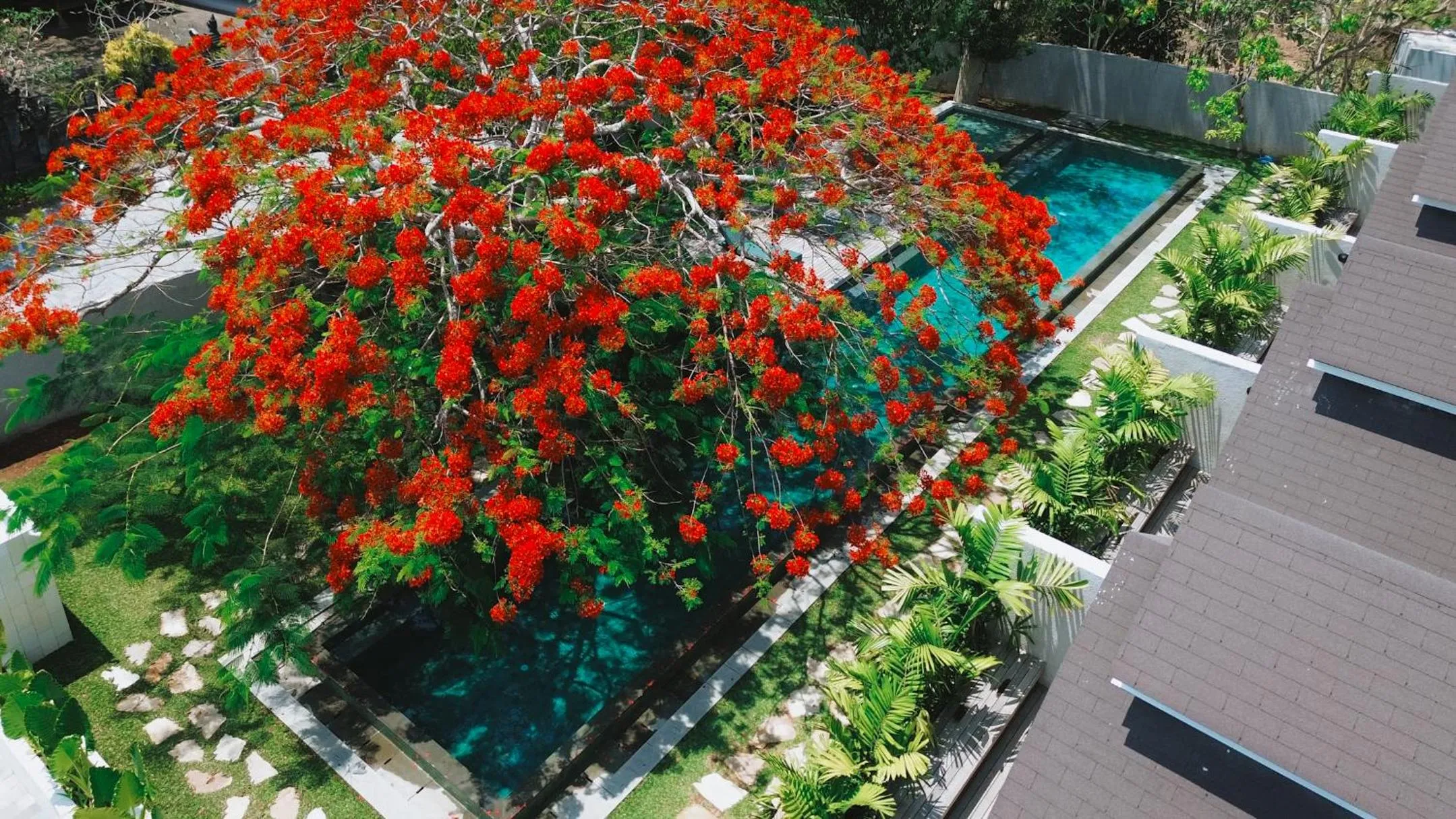 Bird's eye view in ASAI Village