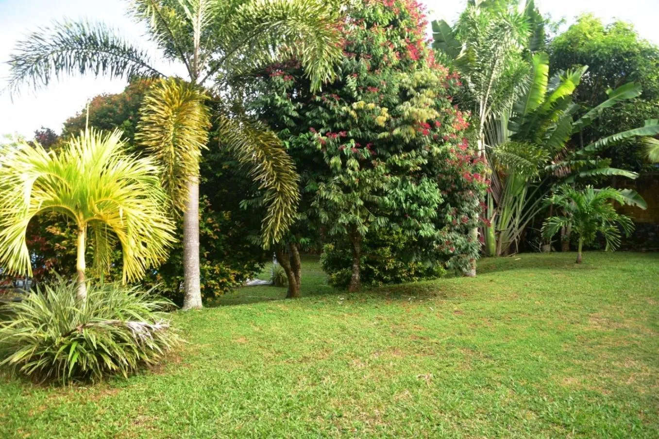 Garden in Green View Villa