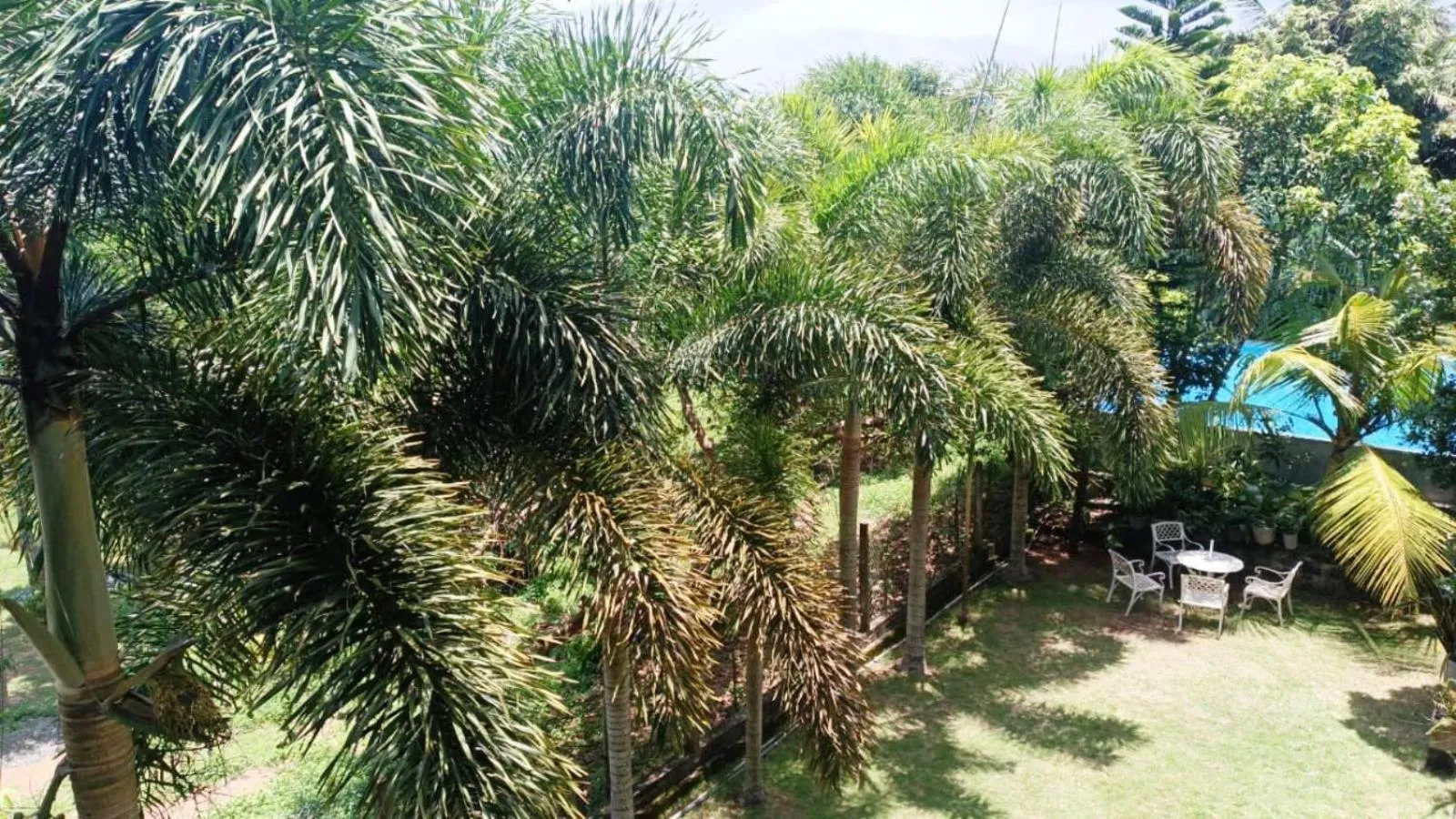 Garden in Green View Villa