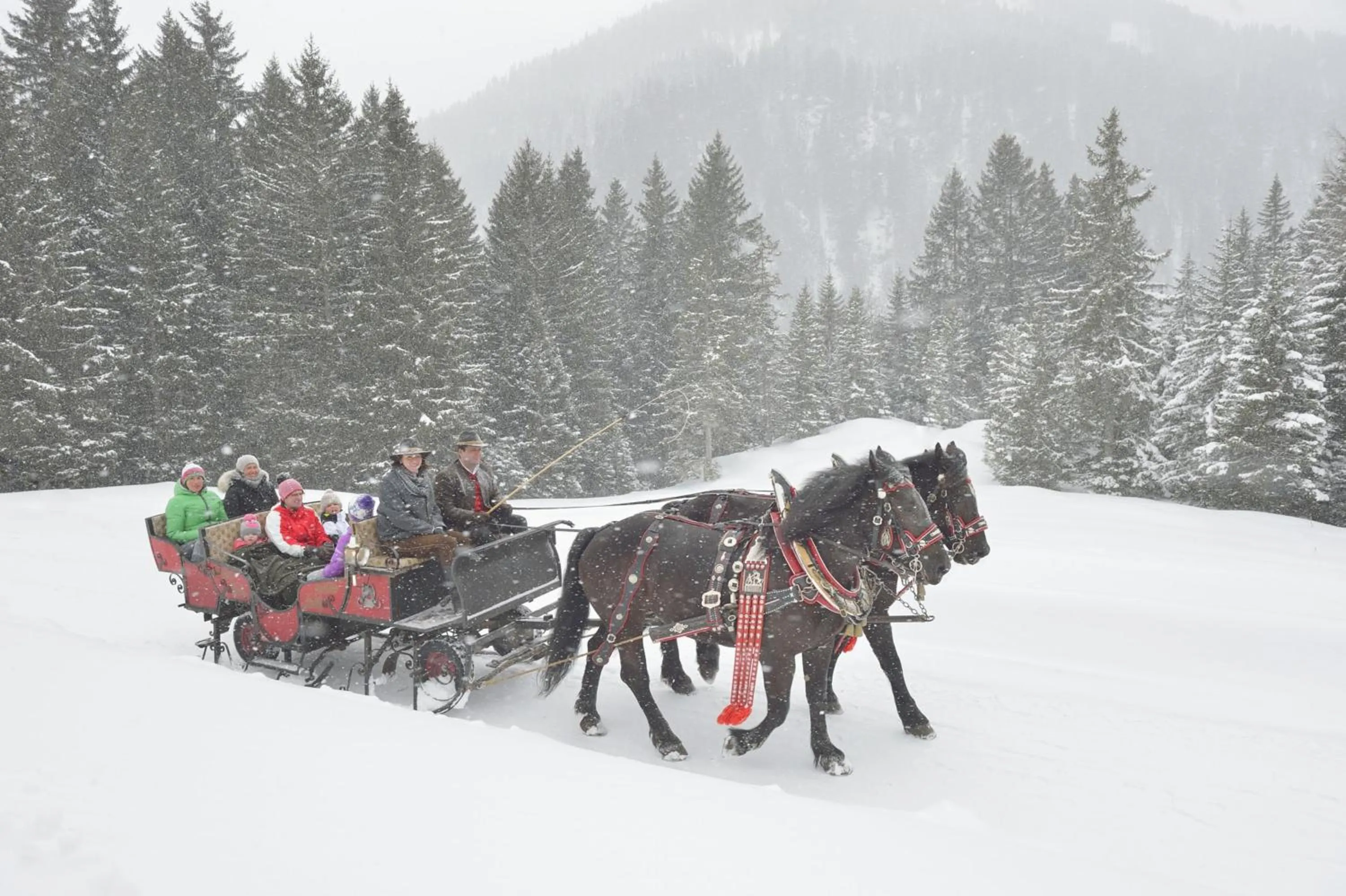 Activities in Hotel Arlmont 4 Stern Superior