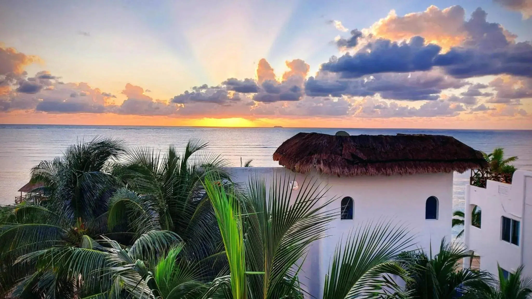 Casa 5 Palmas Casa 5 Palmas