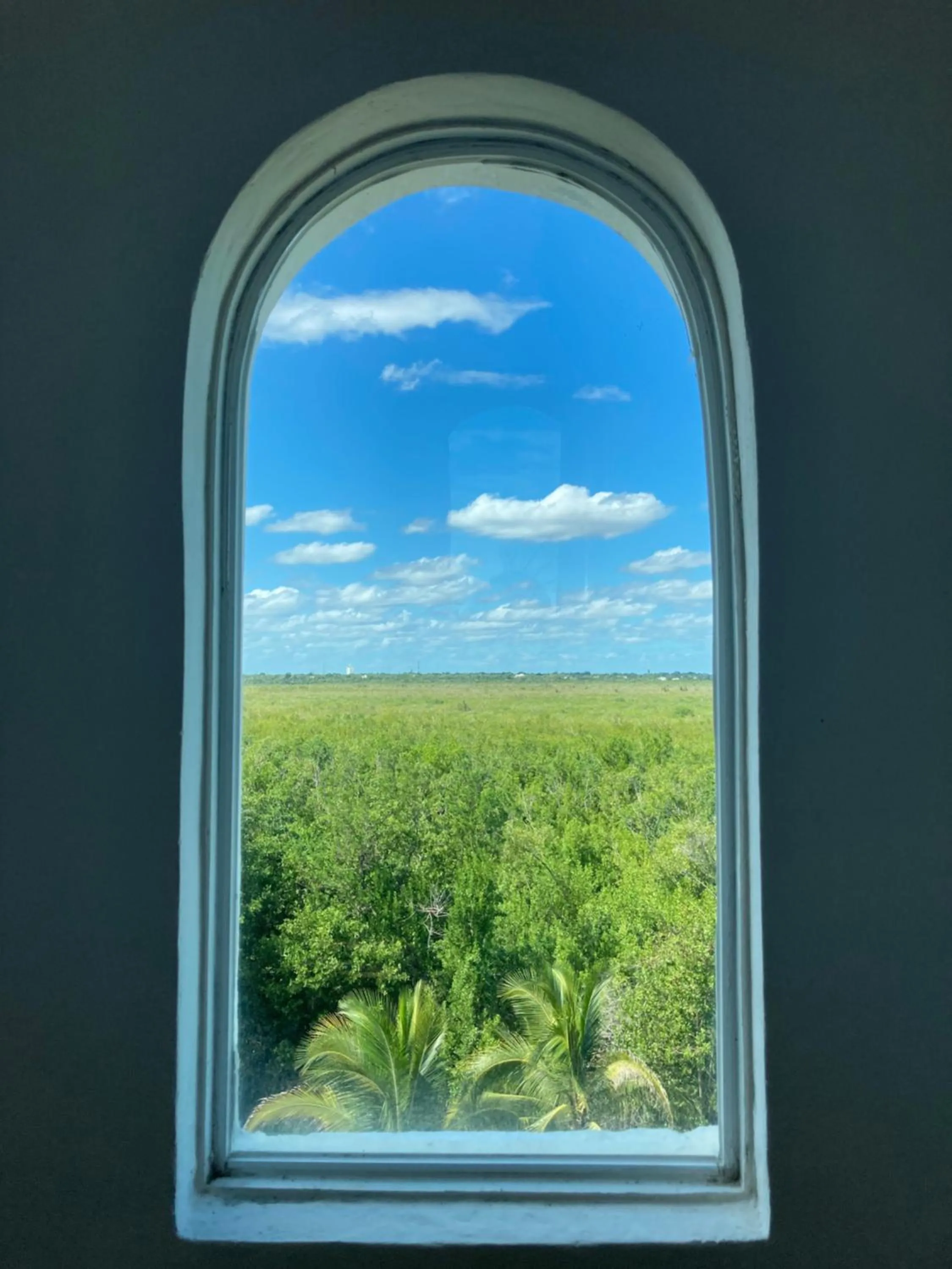 Garden view in Casa 5 Palmas