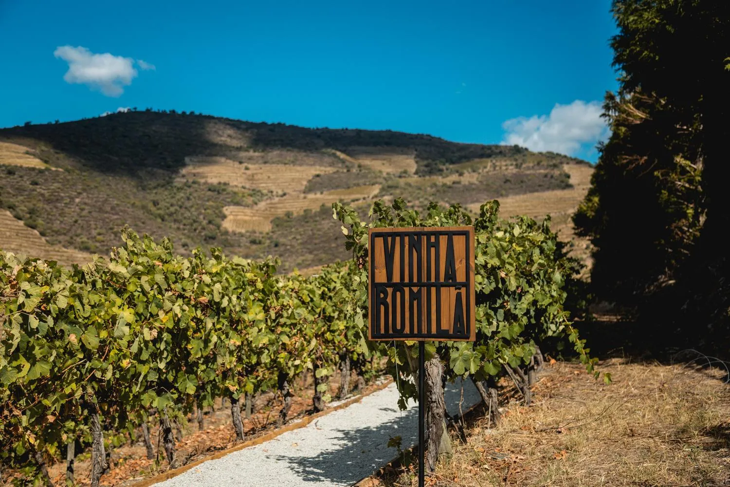 Natural landscape in Quinta São Luiz The Vine House Douro