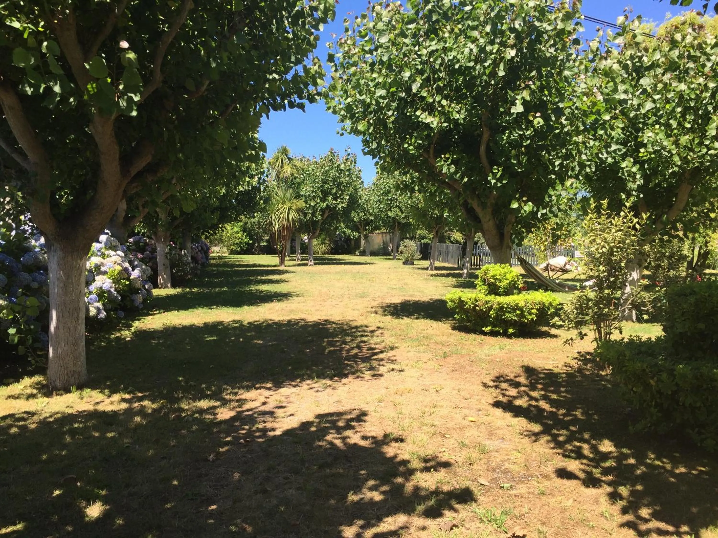 Garden in Hotel Florida