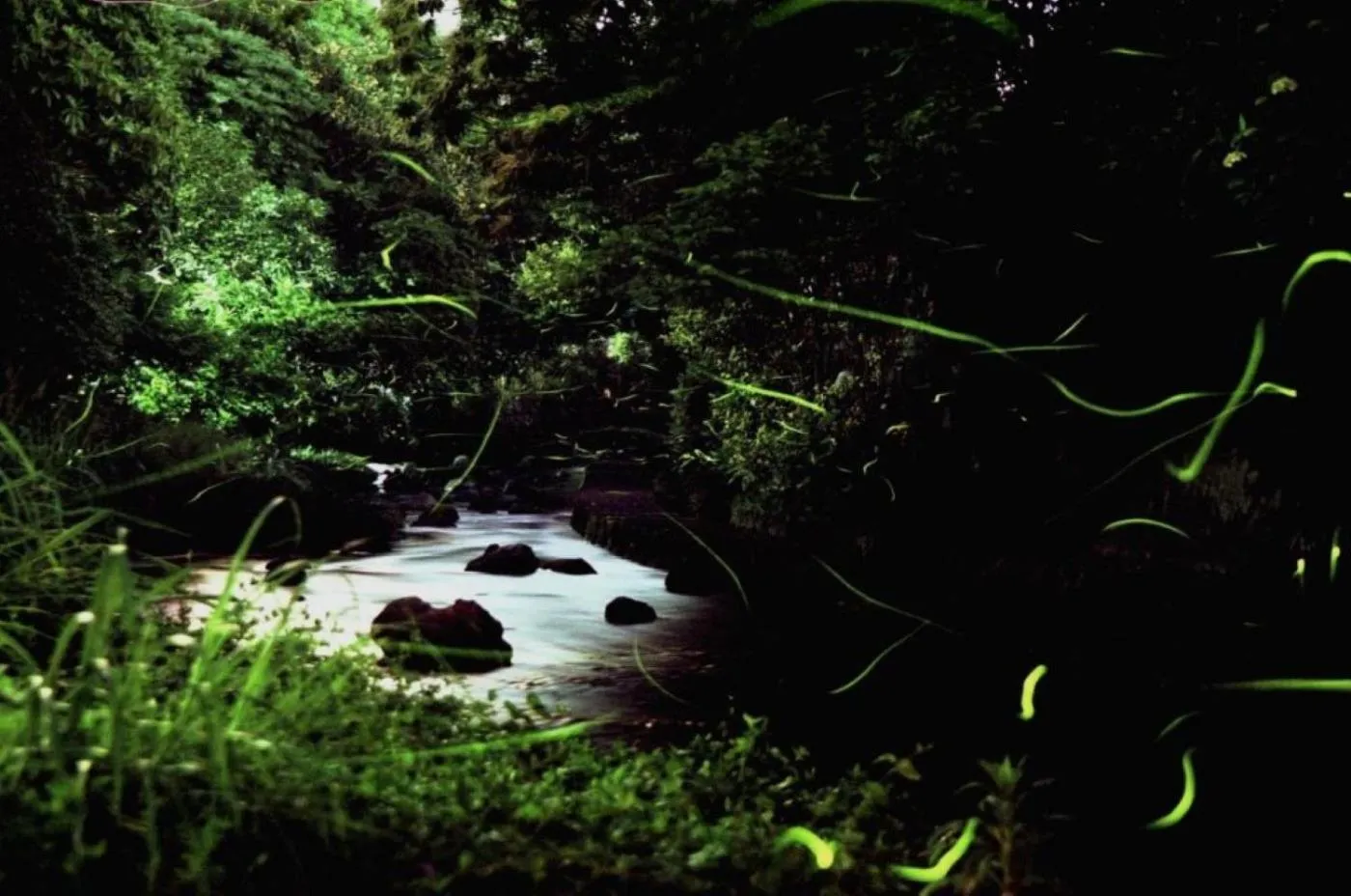 Guesthouse giwa - Vacation STAY 14269v