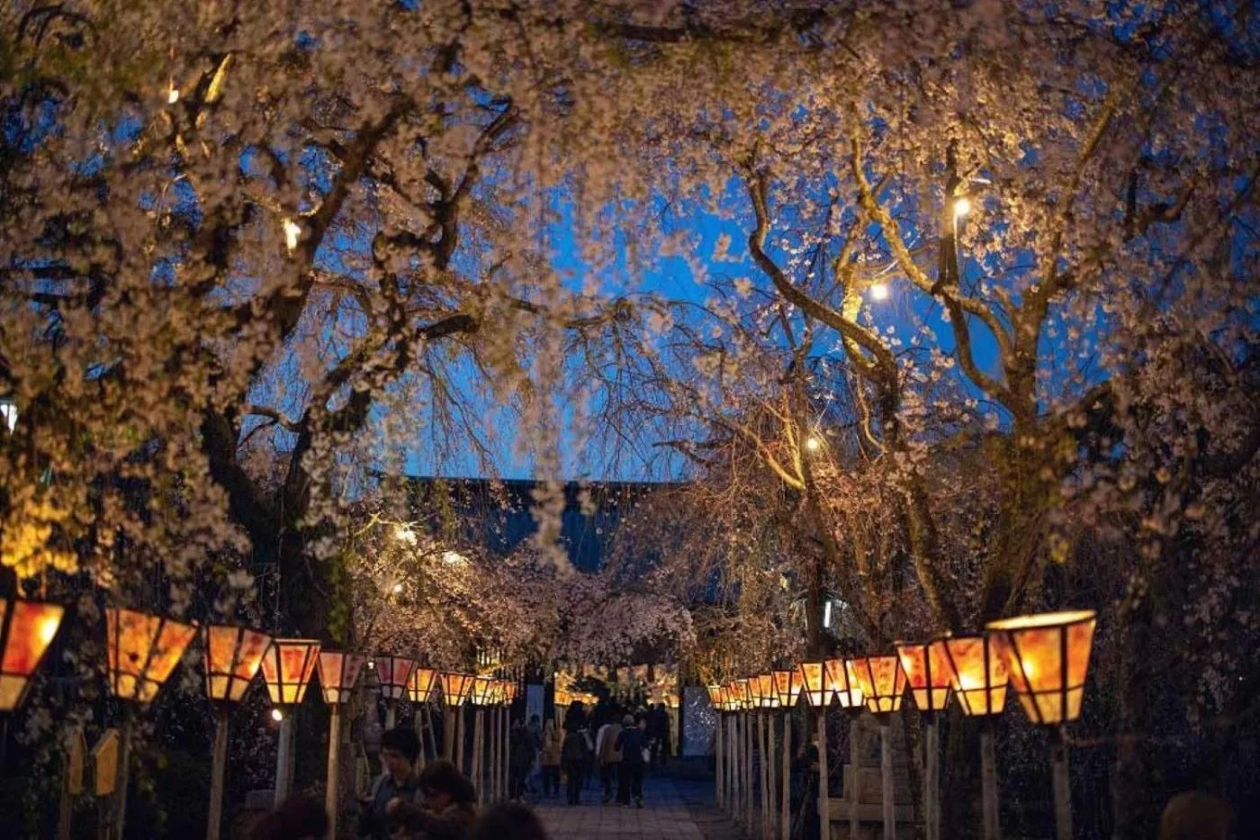 Guesthouse giwa - Vacation STAY 14271v