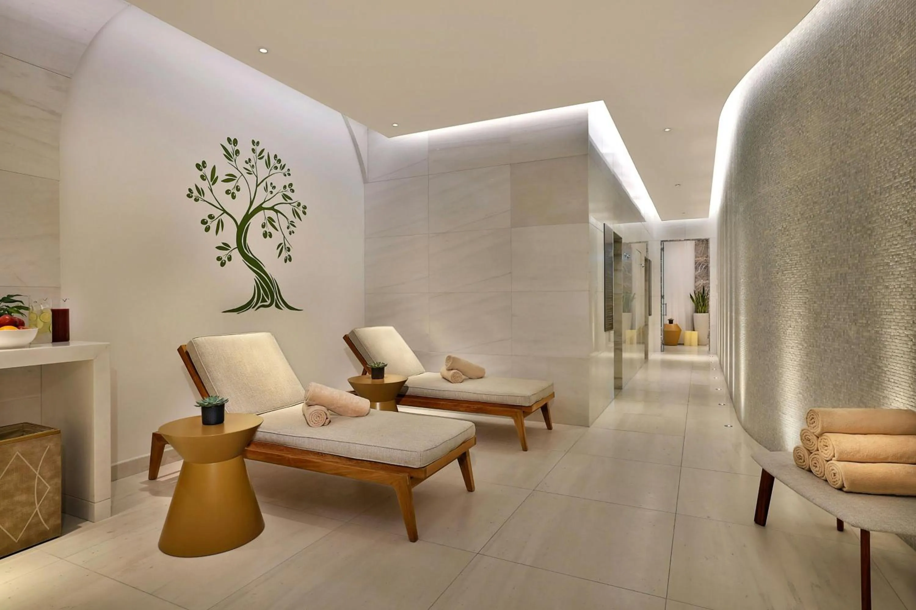 Spa and wellness centre/facilities in The Ritz-Carlton, Amman