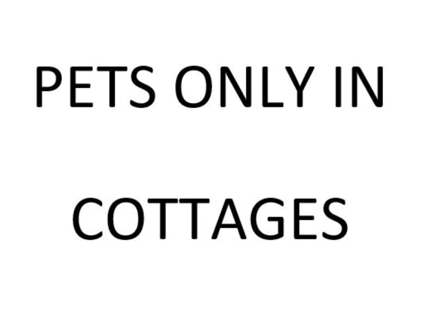 Pets in The Bear Inn