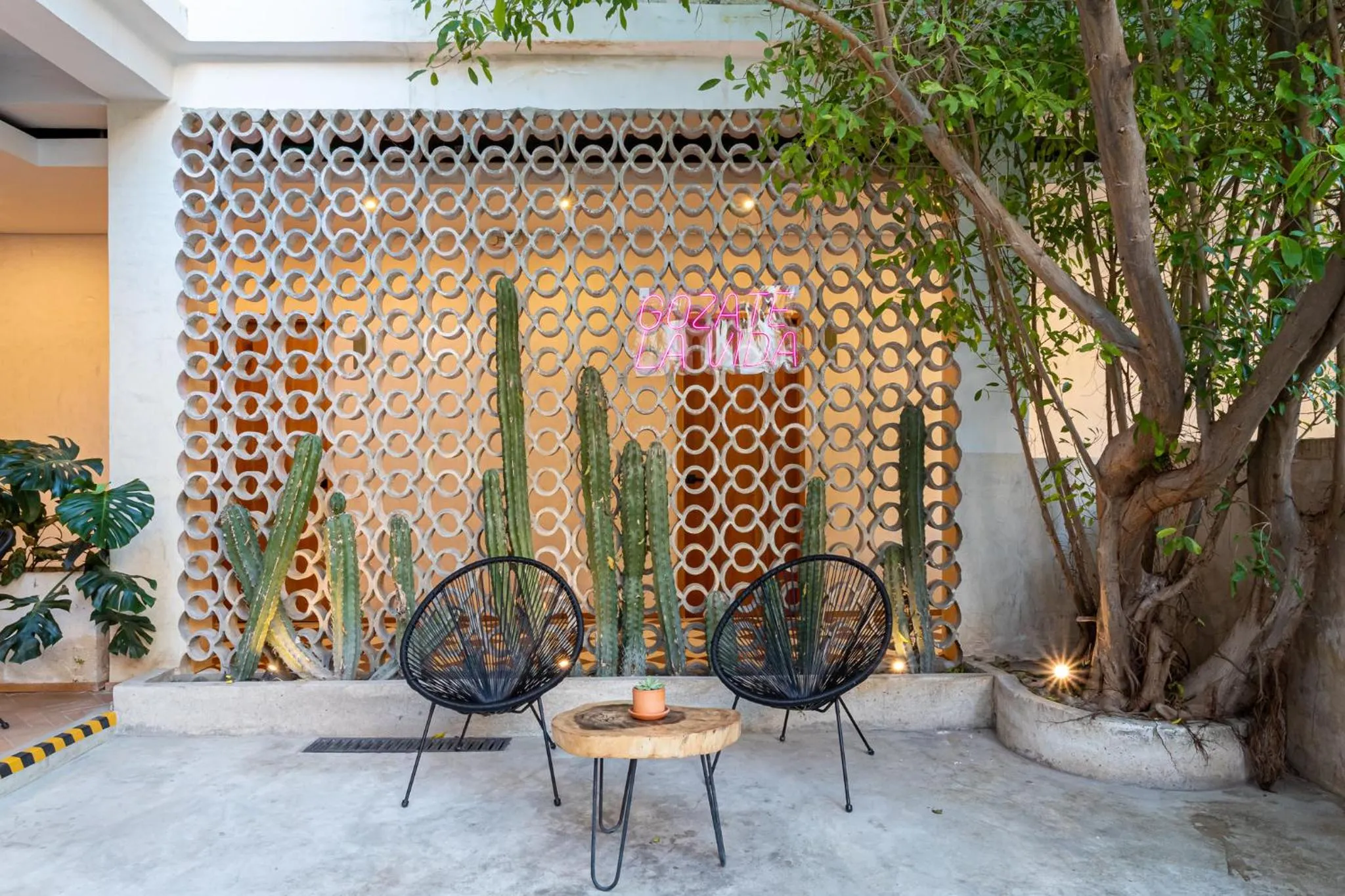 Patio in Soy Local Santa Marta