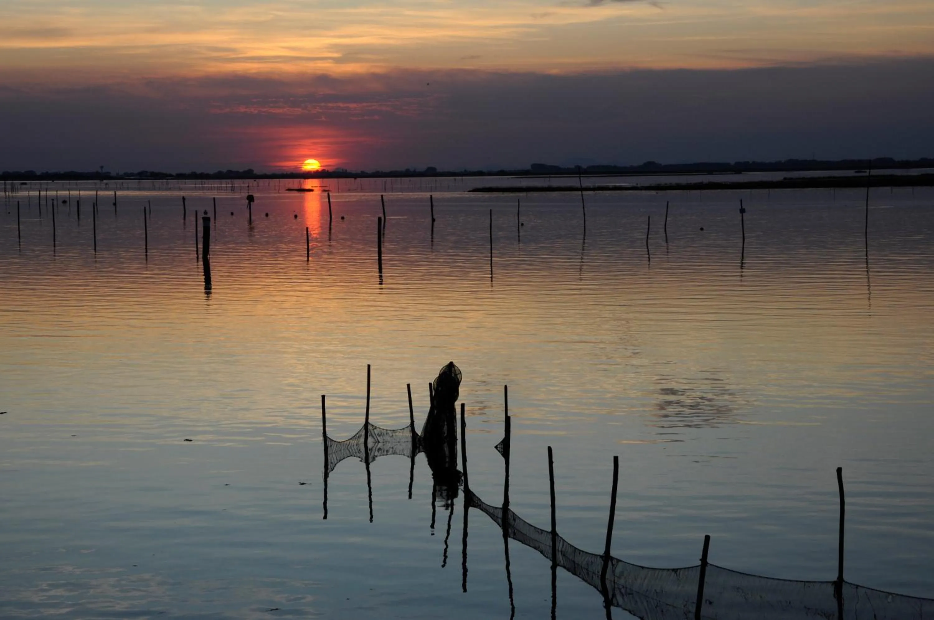 Natural landscape in Isola di Albarella Hotel Capo Nord