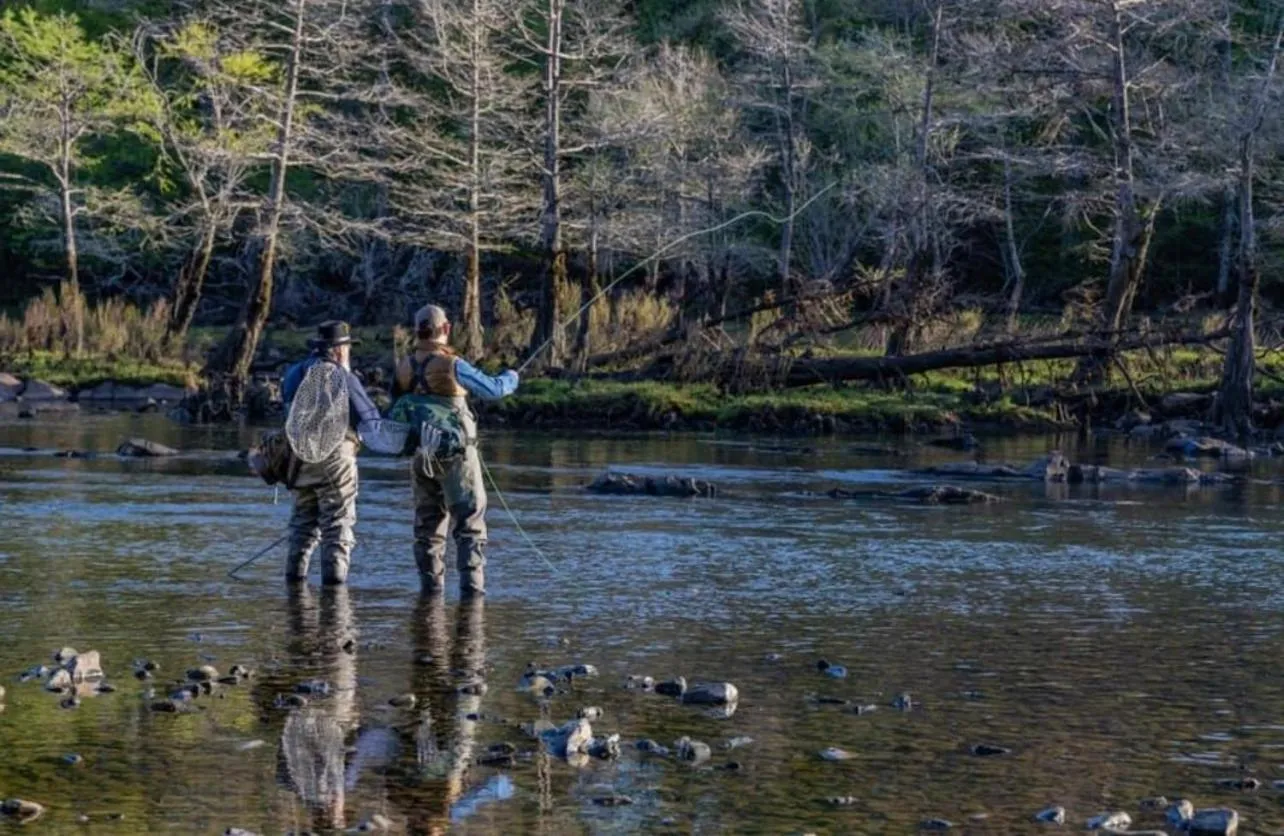 Fishing in Knotty and Nice Luxury Cabin