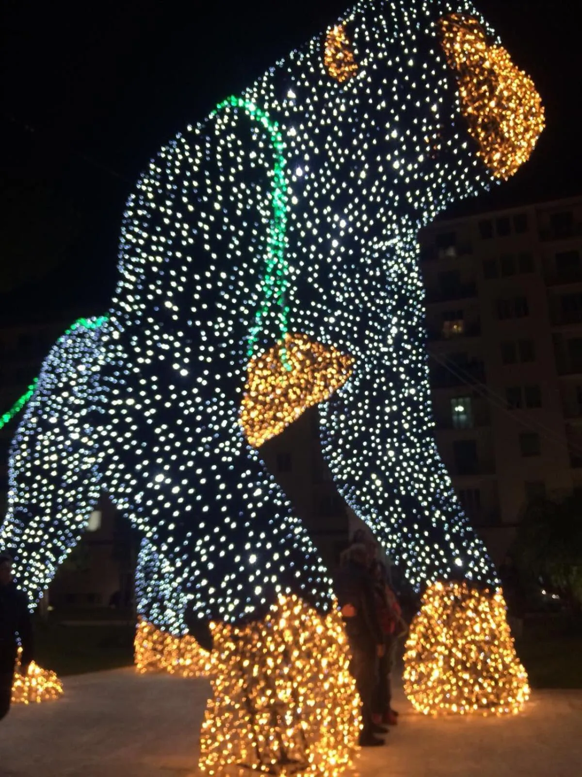 Entertainment in Narì Bed&Breakfast