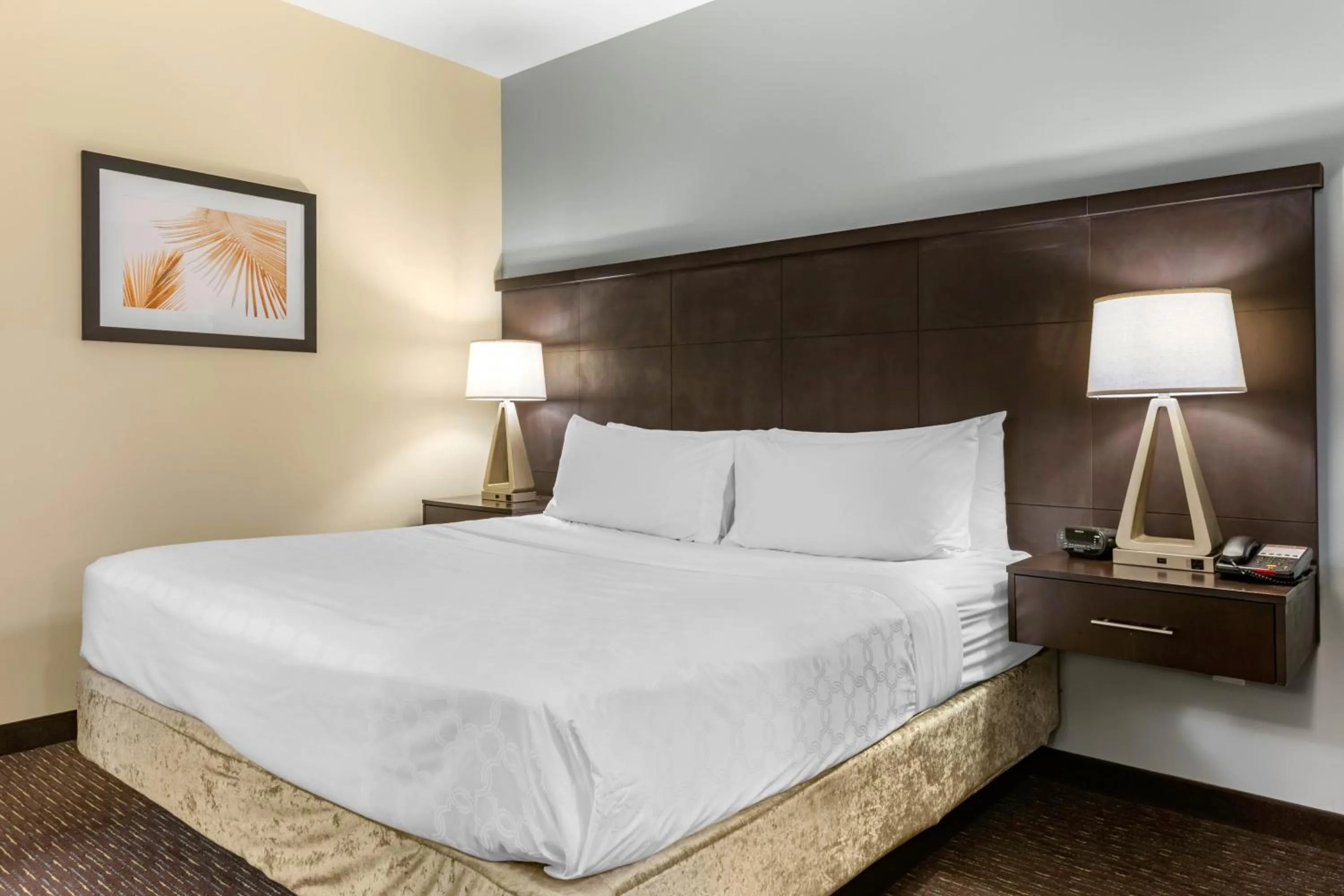 Bed in Staybridge Suites St. Petersburg FL by IHG