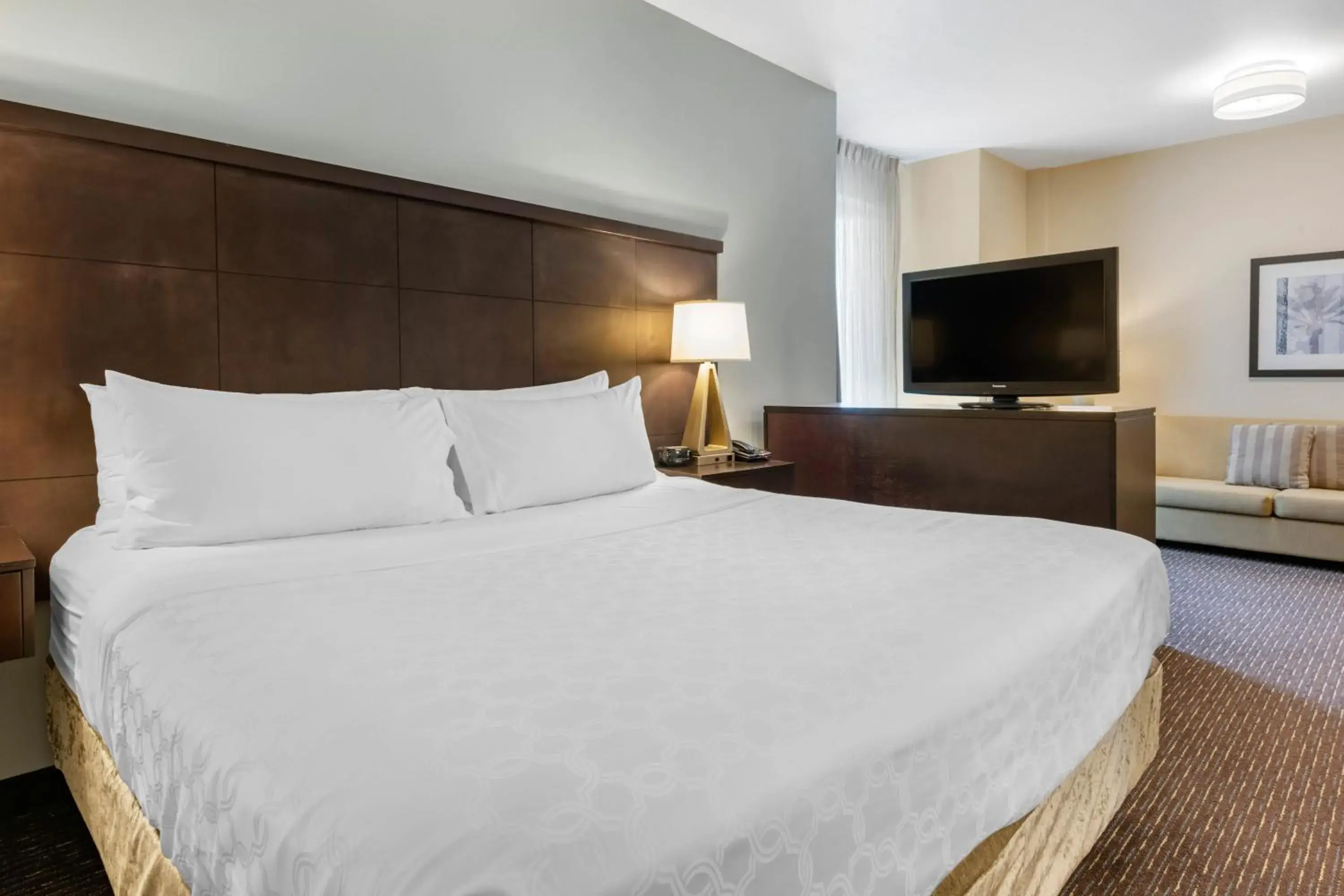 Studio Queen Suite - Non-Smoking in Staybridge Suites St. Petersburg FL by IHG Studio Queen Suite - Non-Smoking in Staybridge Suites St. Petersburg FL by IHG