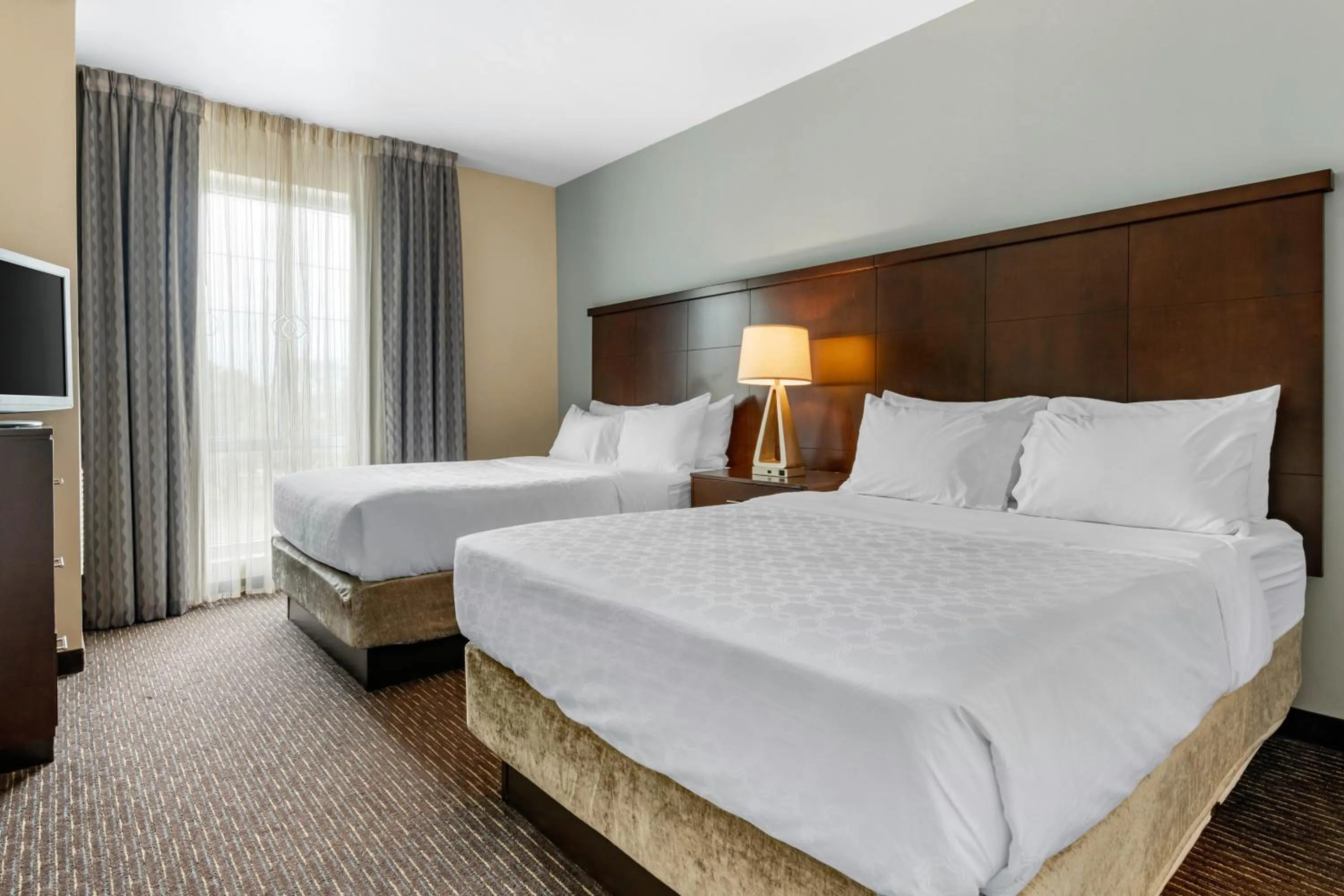 Photo of the whole room, Bed in Staybridge Suites St. Petersburg FL by IHG