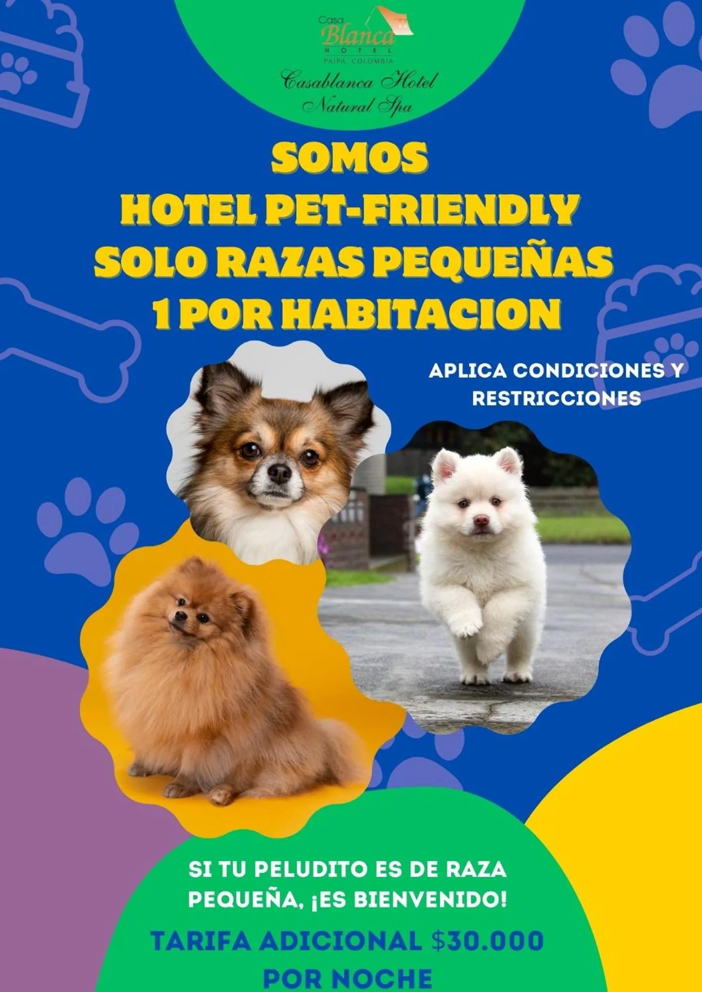 Pets in Hotel Casablanca Natural Spa