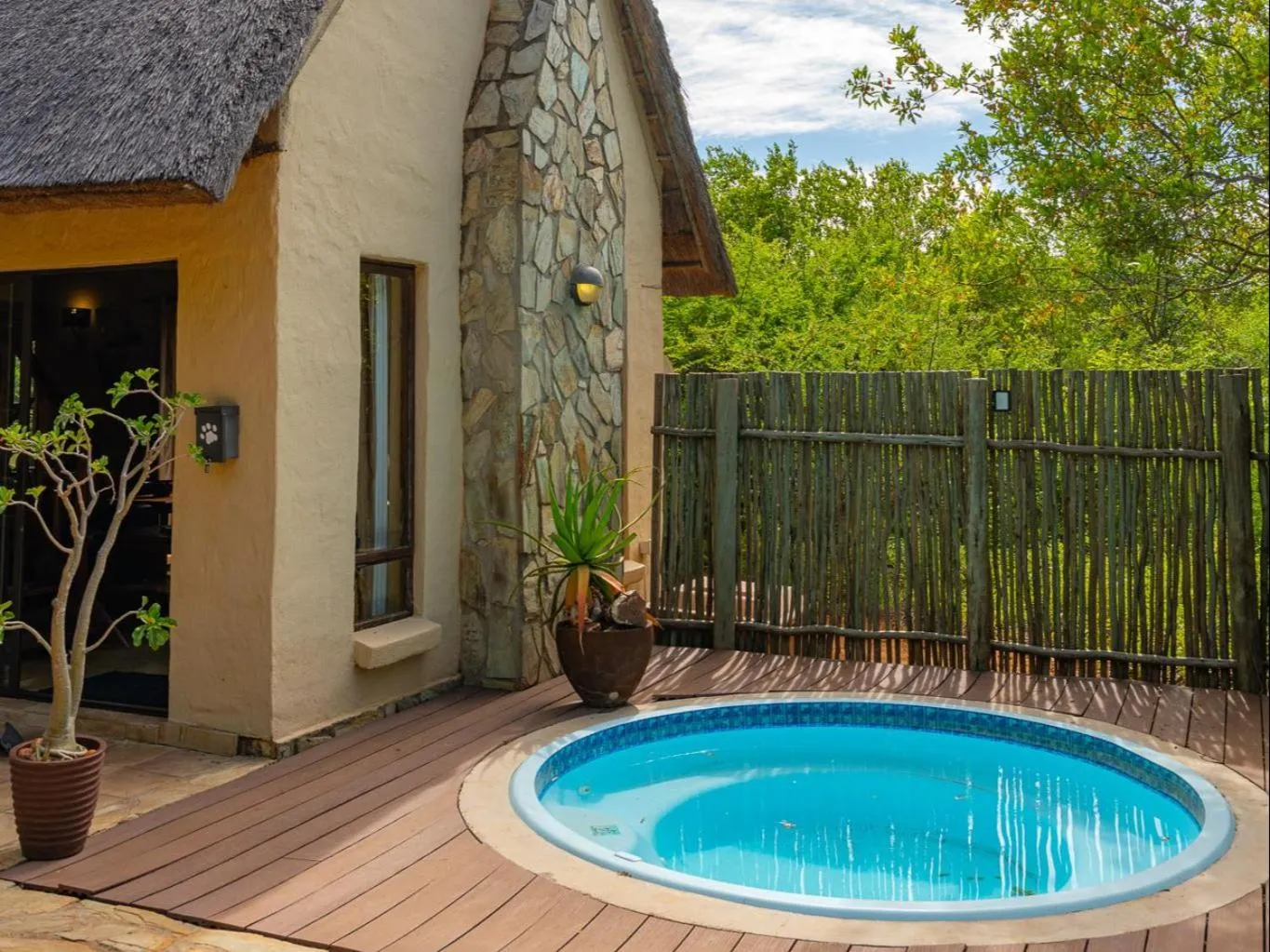 Swimming pool in Impala Cottage