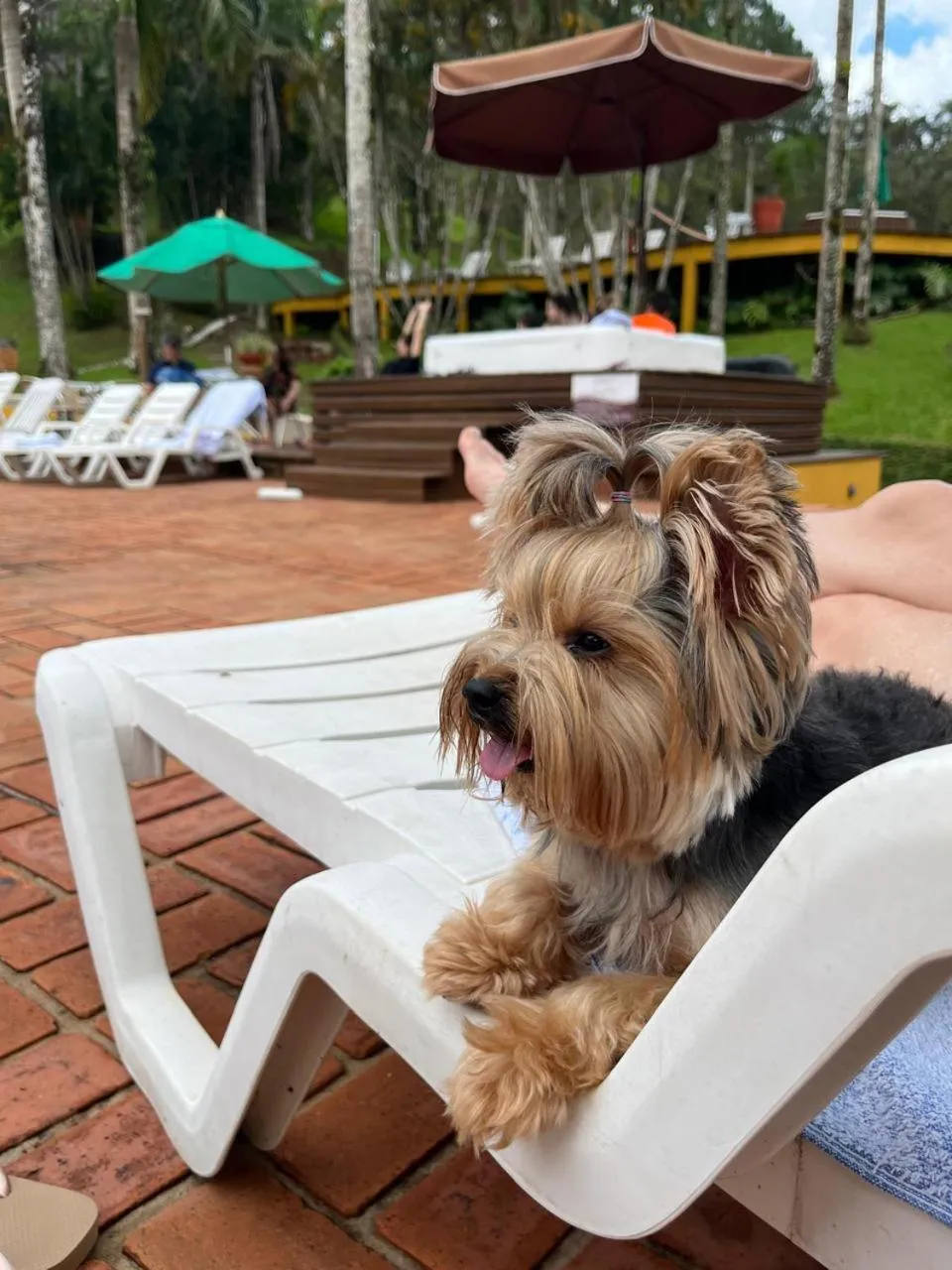 Pousada Arraial do Ouro