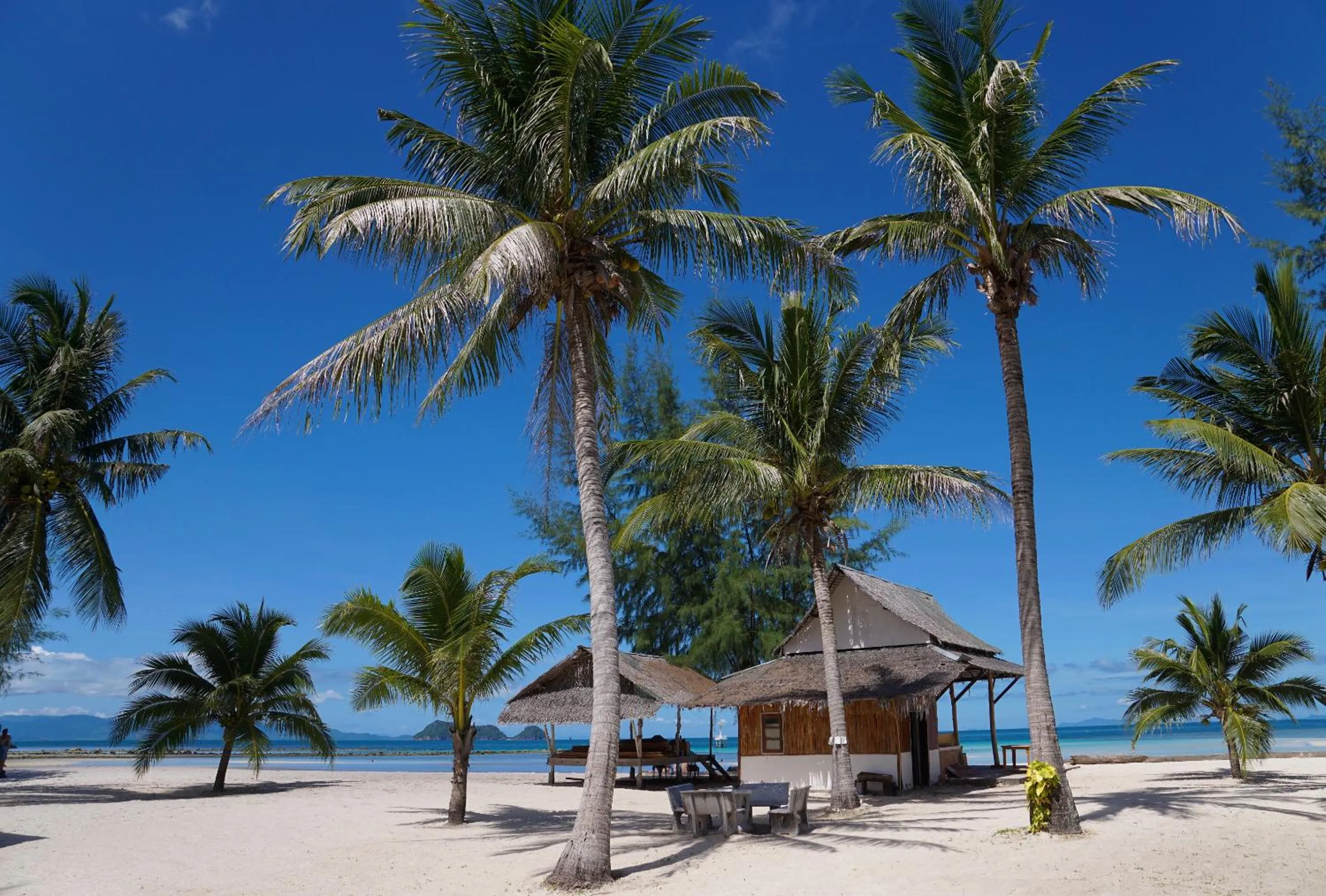 Food and drinks in Laemson Resort