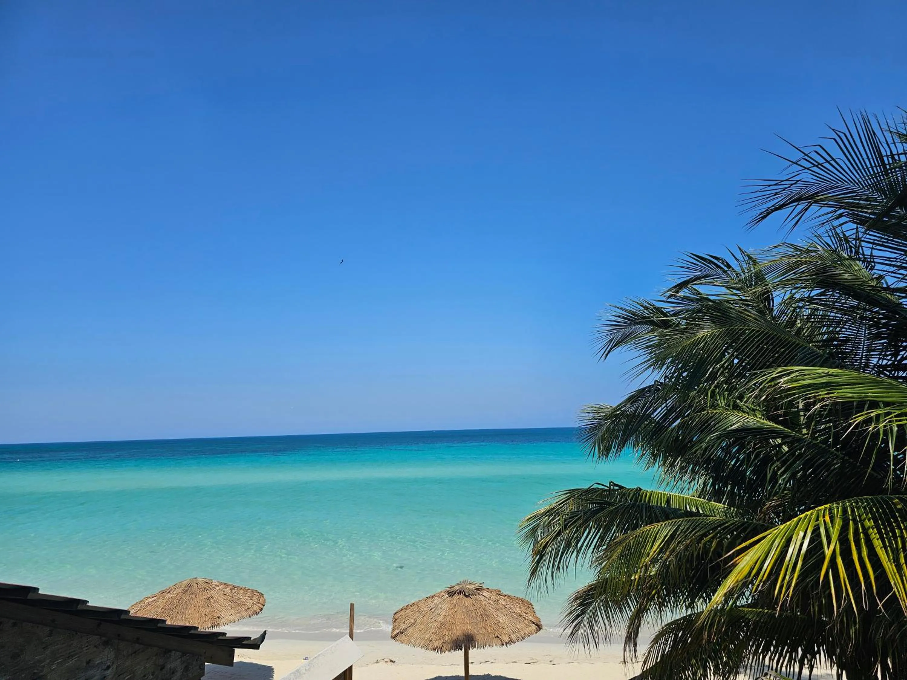 Sea view in Roots Cafe Rooms