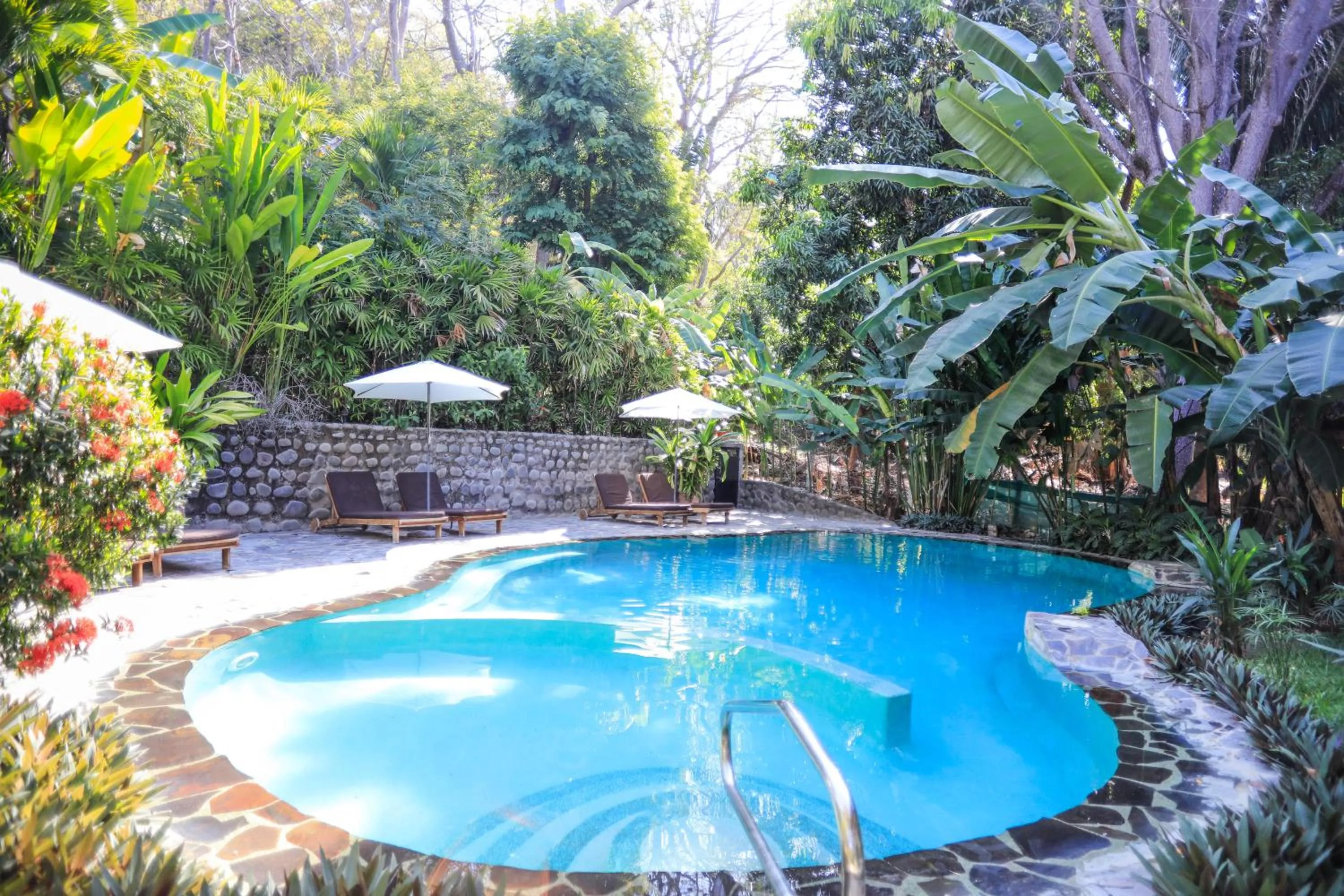 Pool view in Manala Hotel