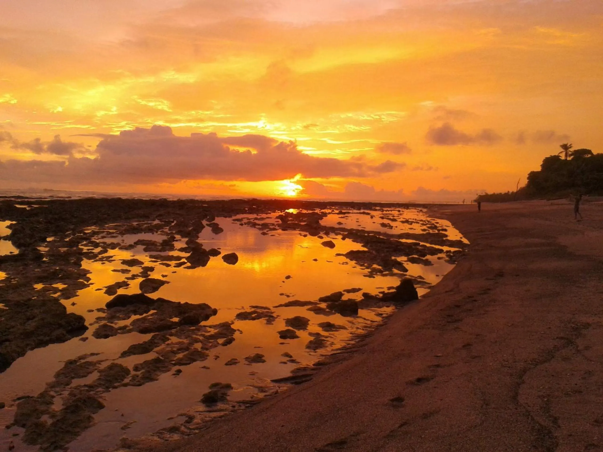Natural landscape in Manala Hotel