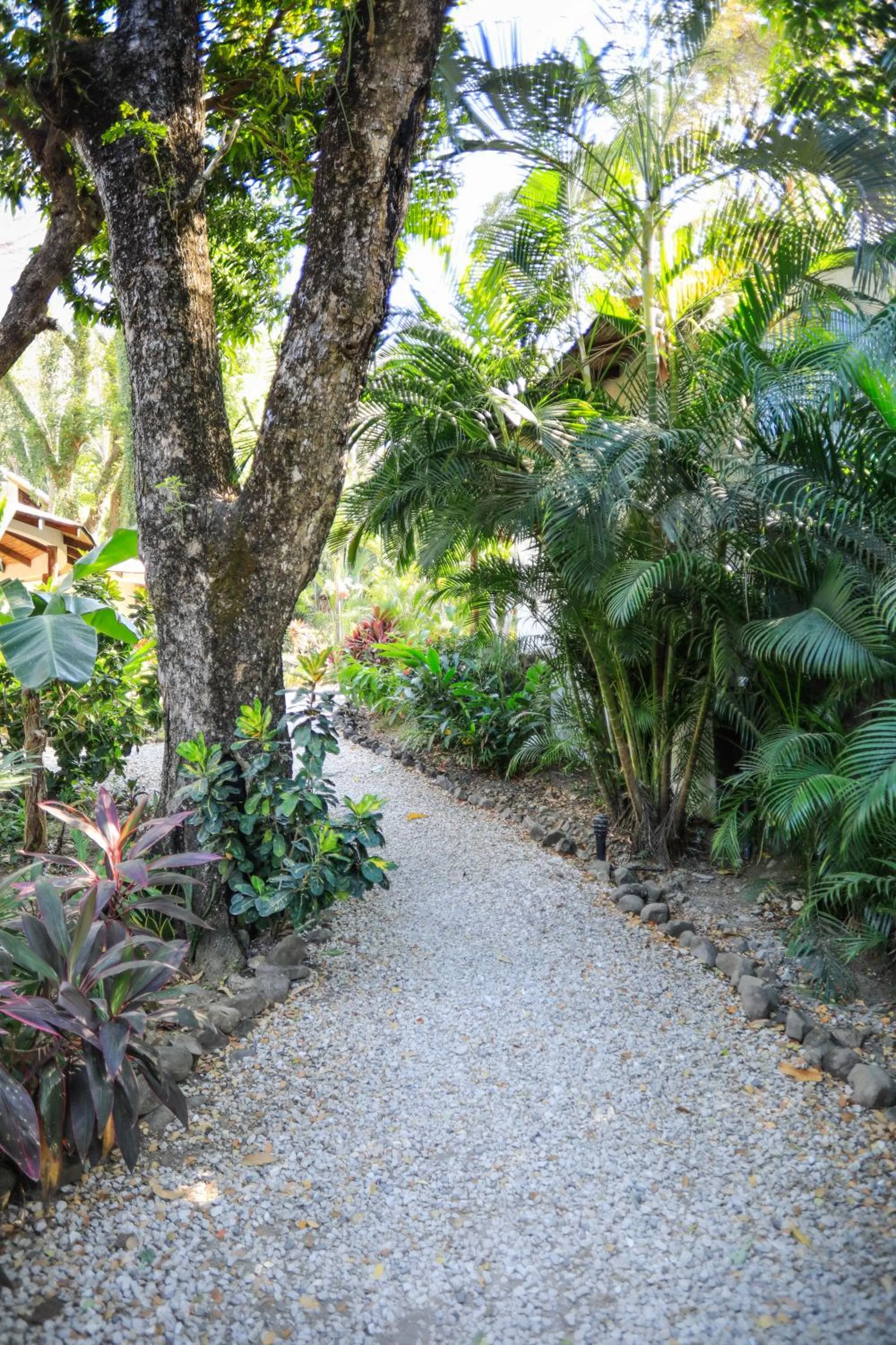 Property building in Manala Hotel