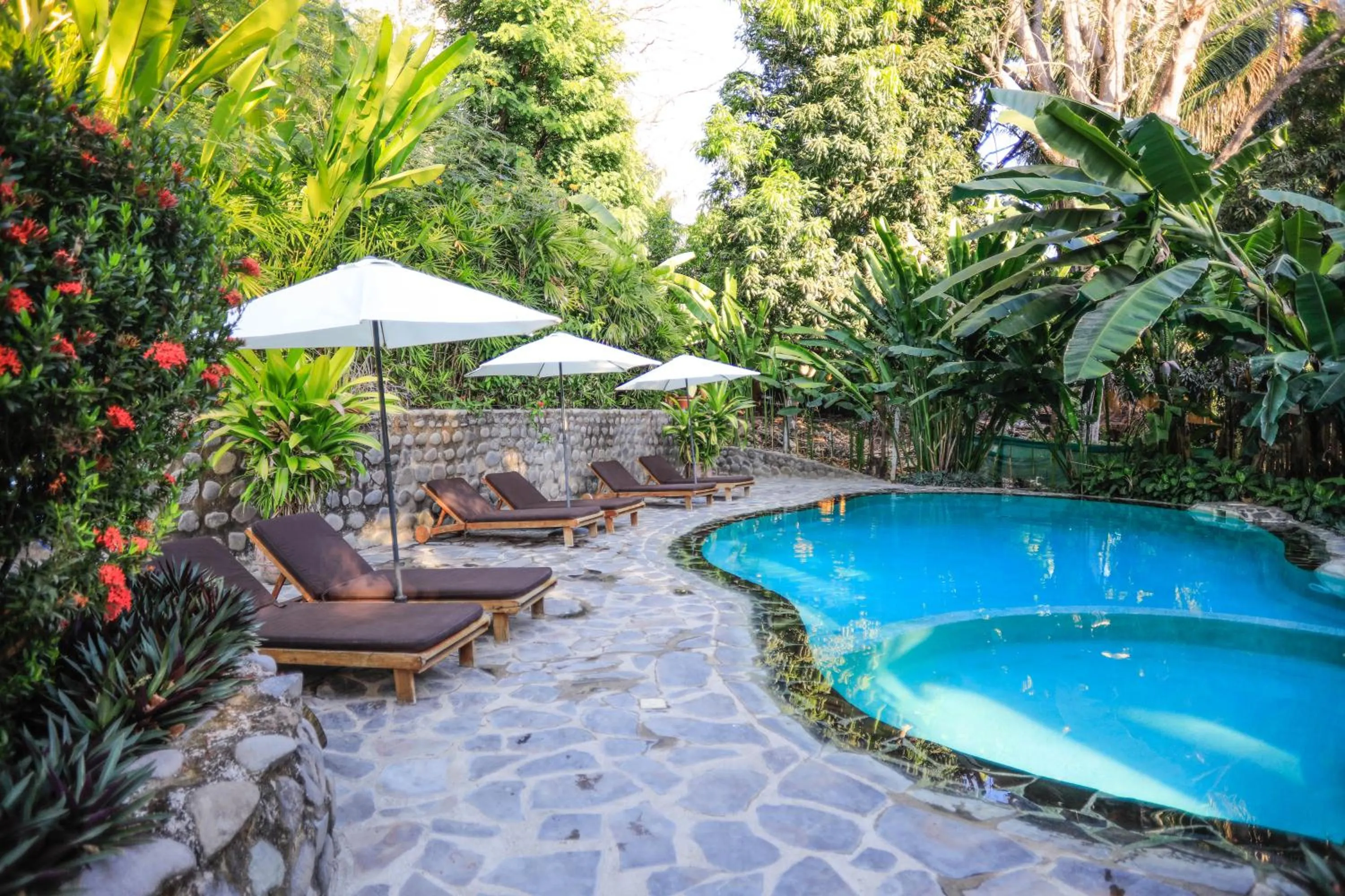 Pool view in Manala Hotel