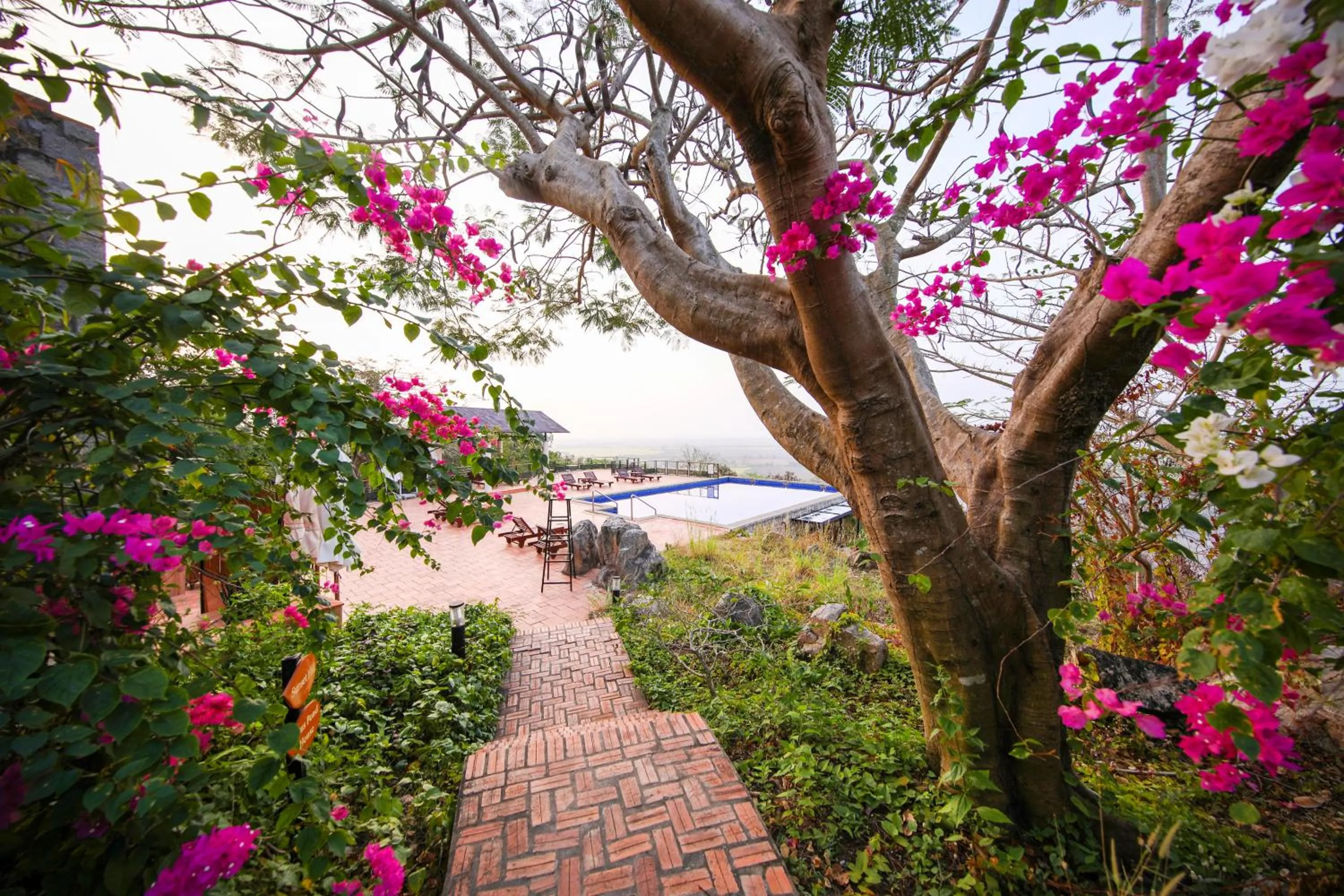 Natural landscape in Victoria Nui Sam Lodge
