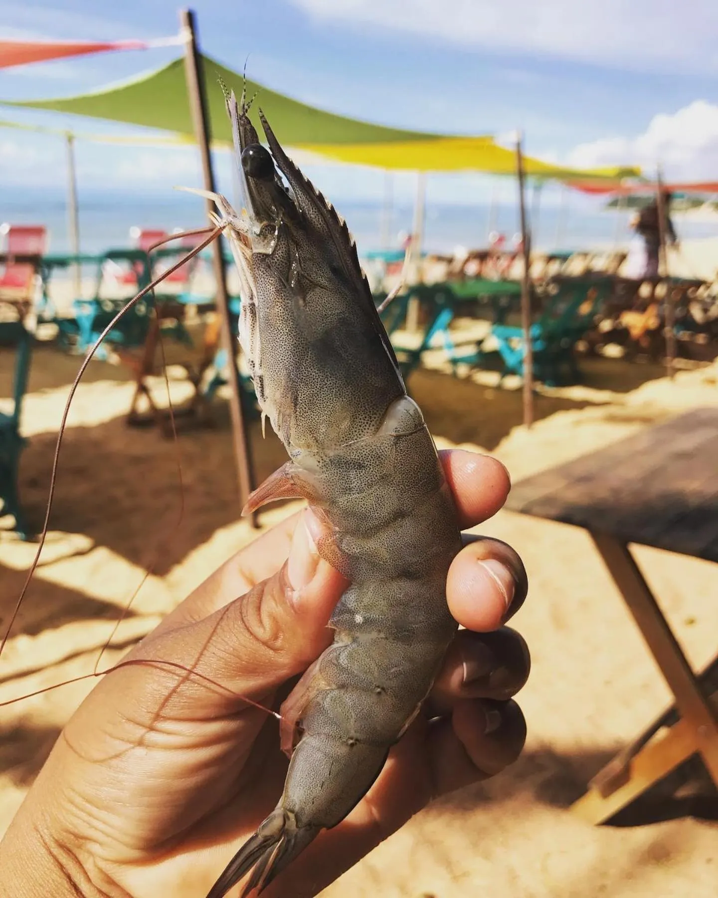 Pousada Imperador do Espelho