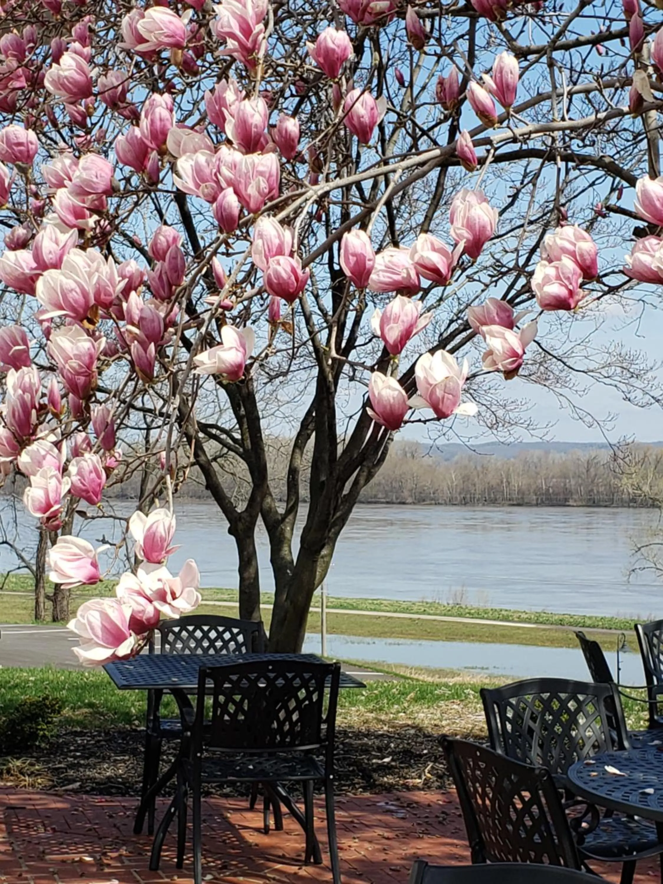 Patio in Inn at Elijah McLean's