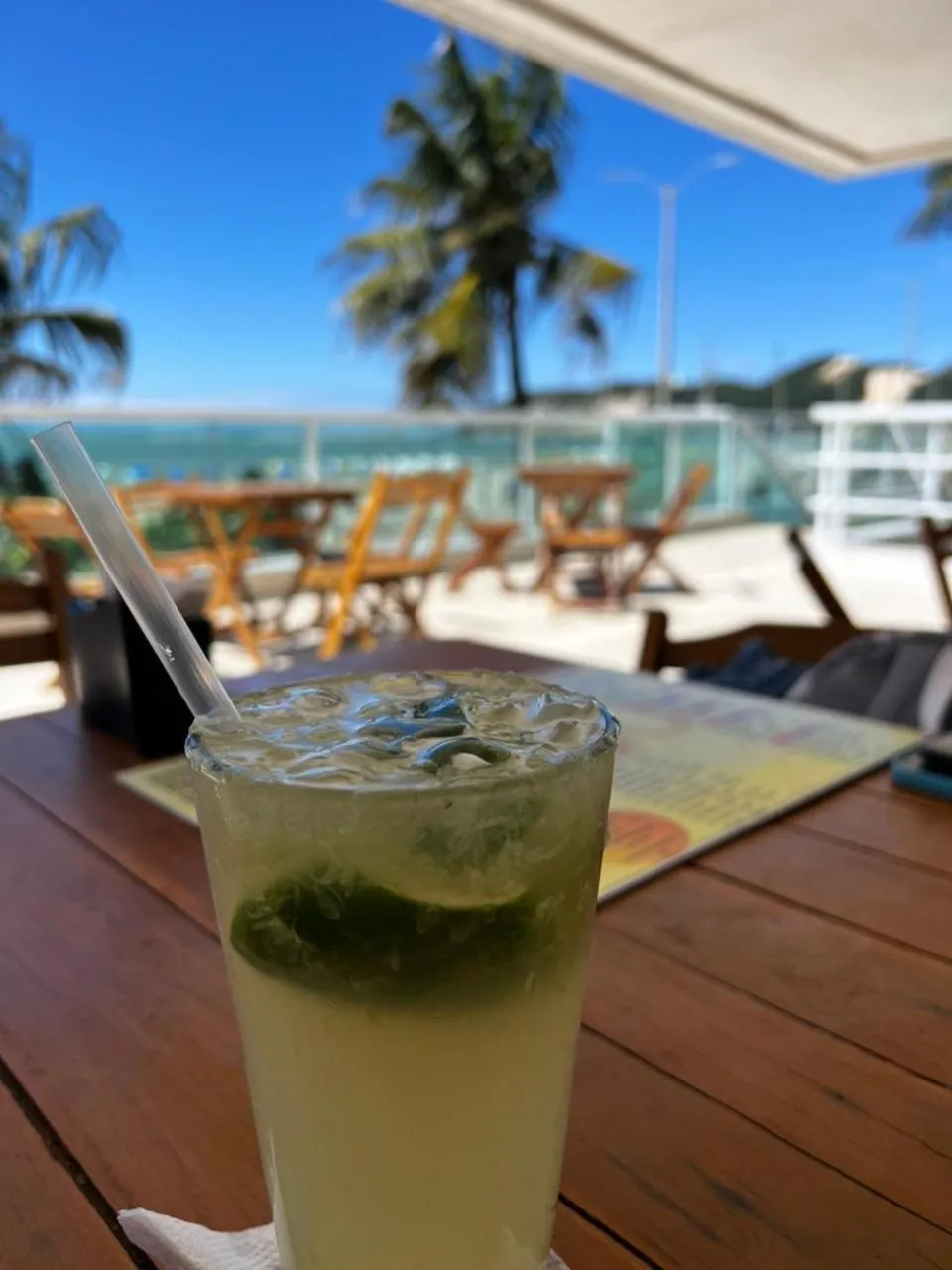 Bicalho Flat Beira Mar Praia PontaNegra -Natal