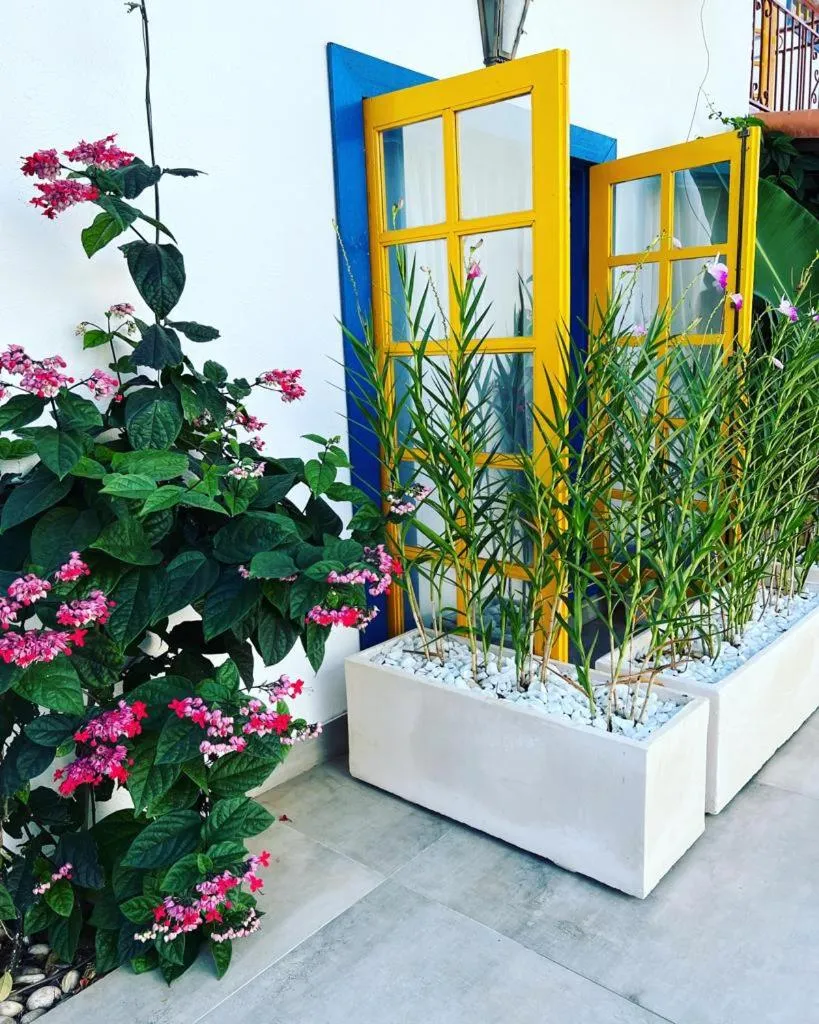 Property building in Villa Lulu Geribá