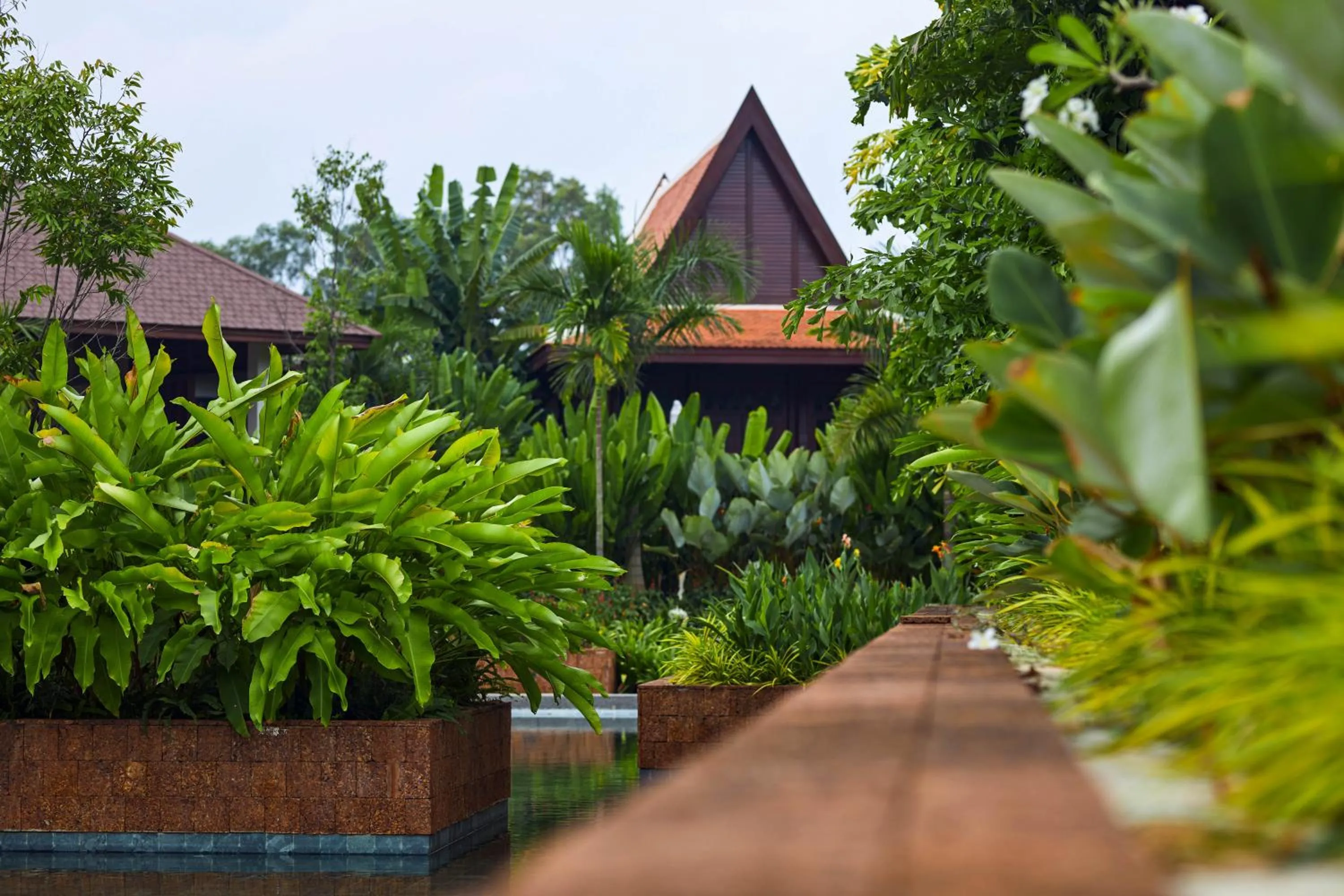 Garden in Angkor Green Gardens by Dara