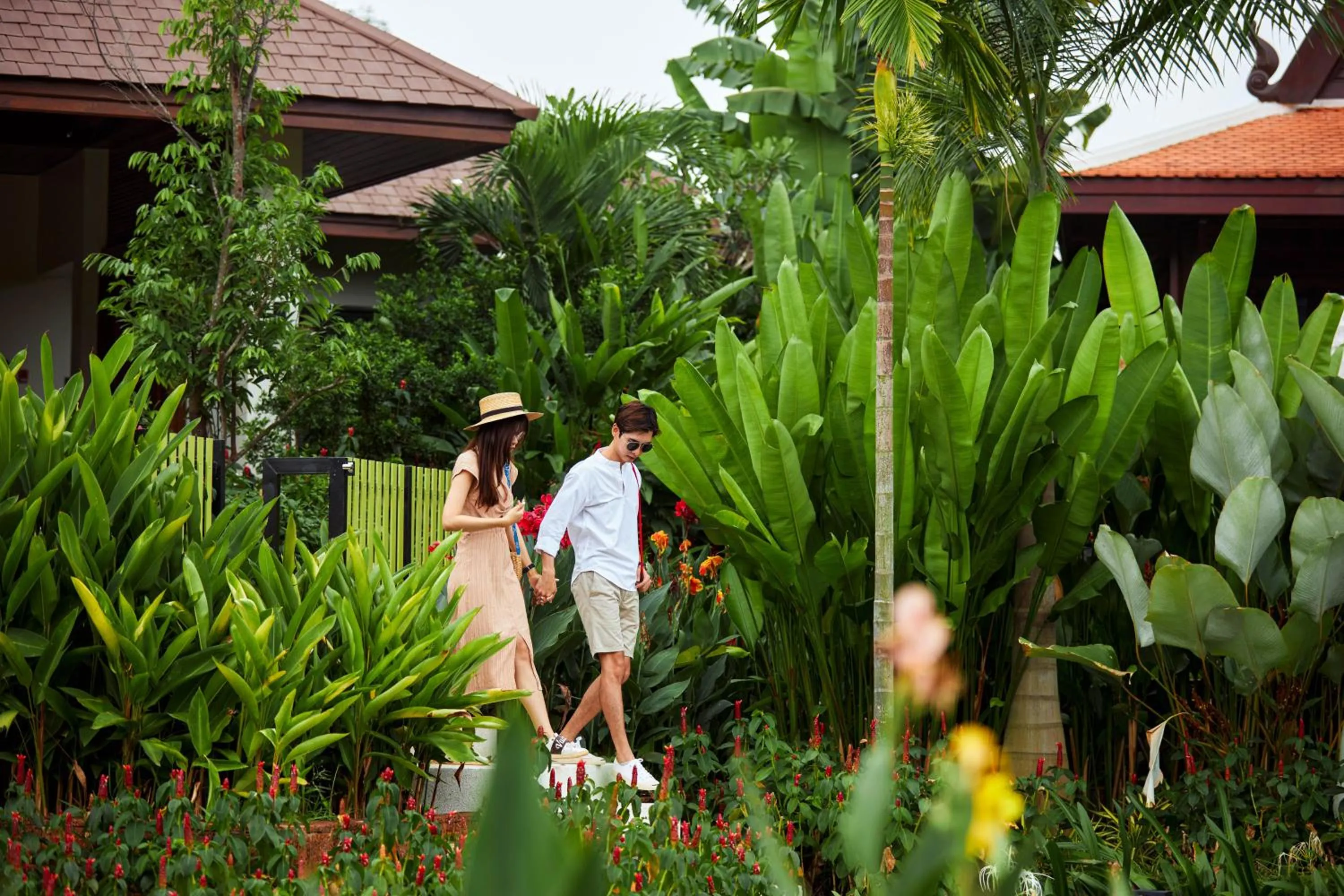Garden in Angkor Green Gardens by Dara