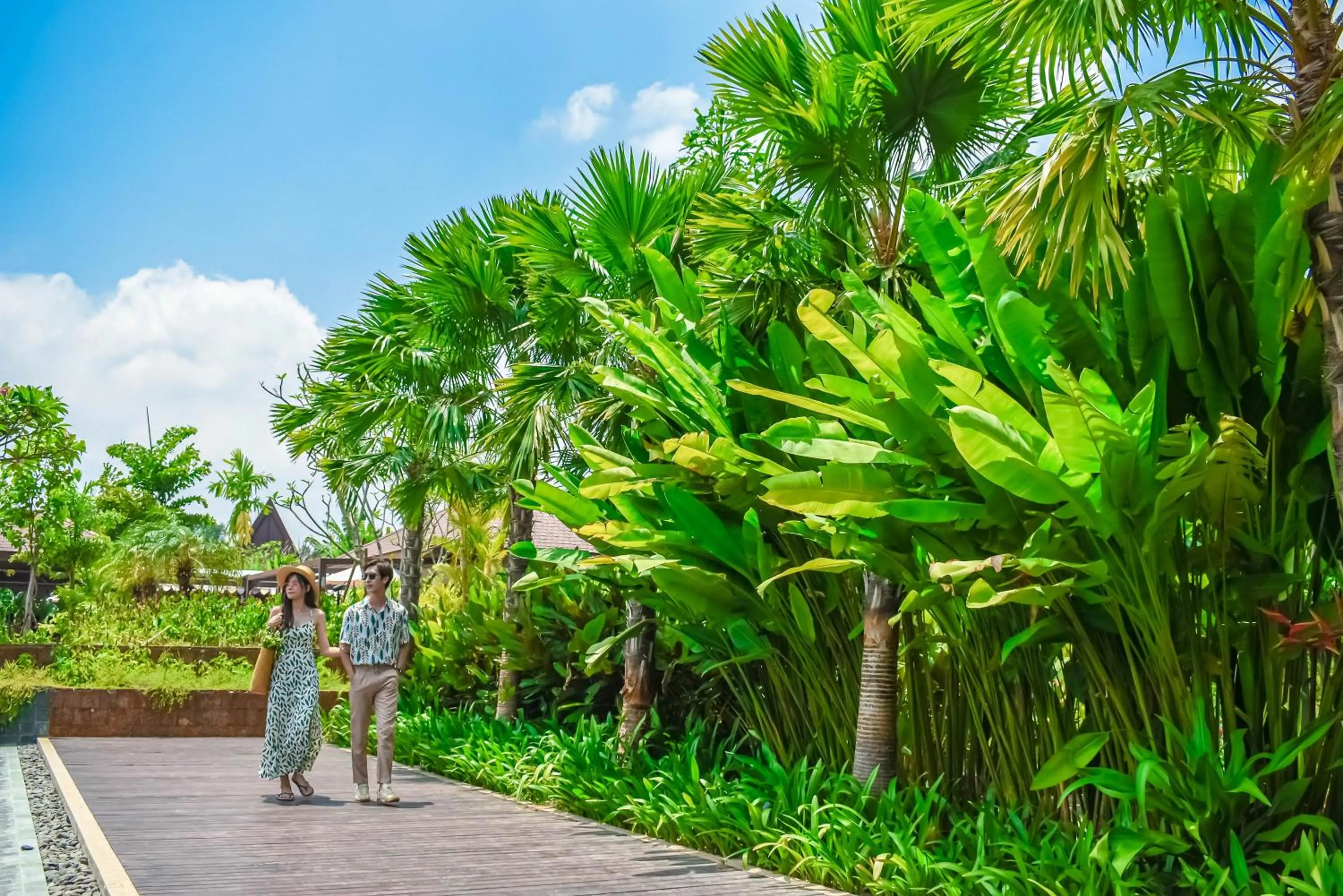 Garden in Angkor Green Gardens by Dara