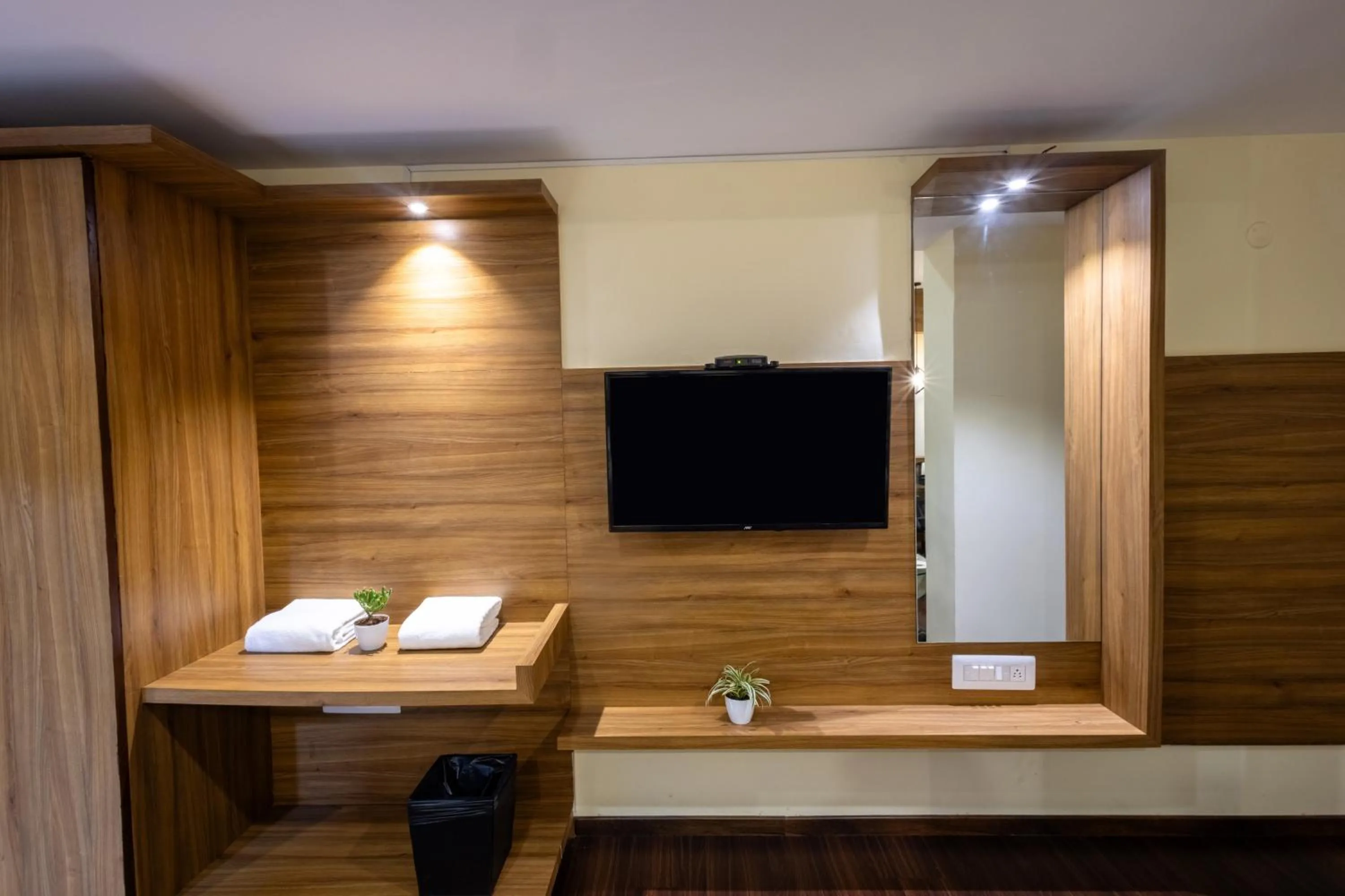 TV and multimedia in Forest Keys By VYDA