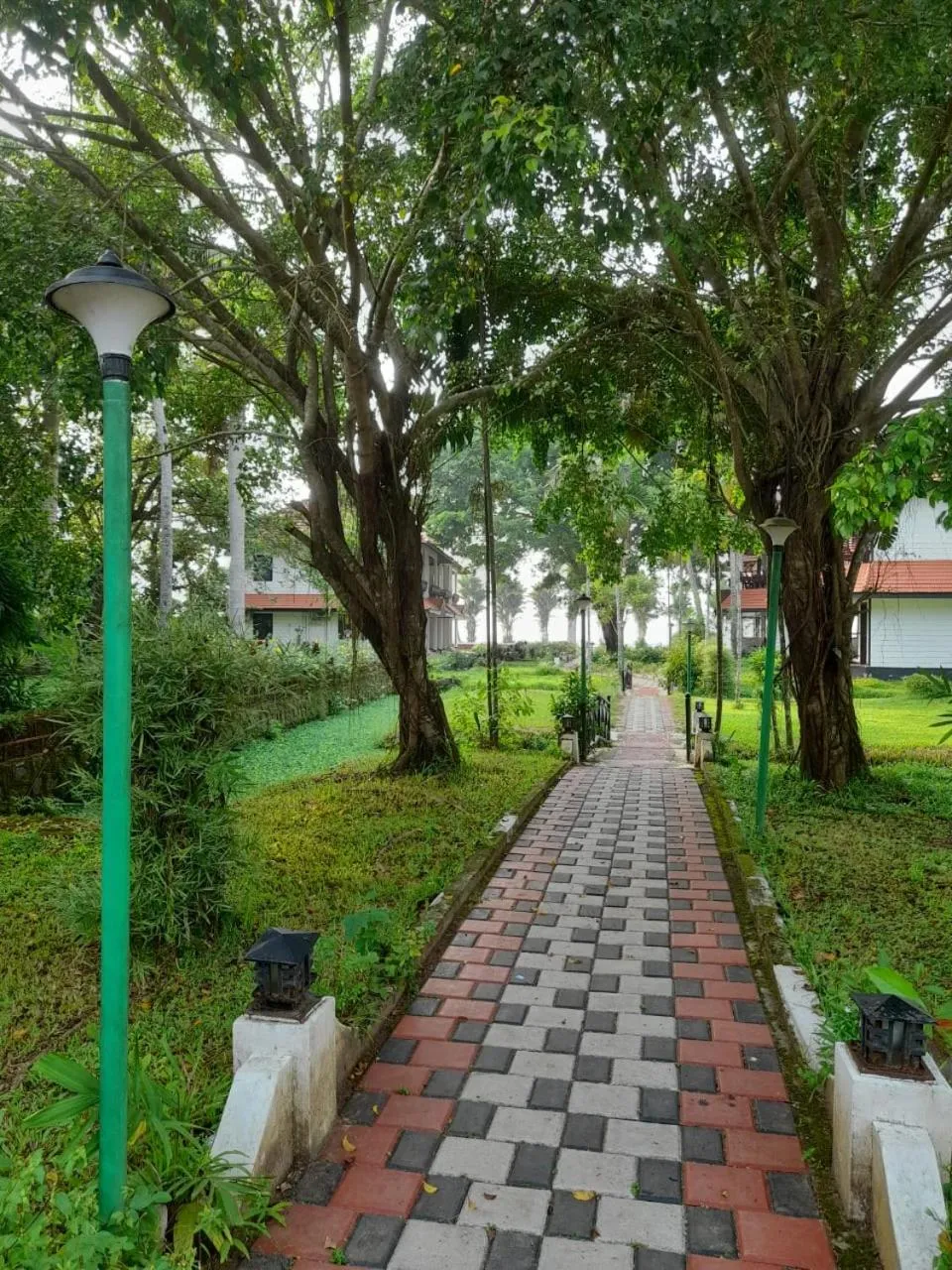 Spring in Doves Goldfieldd Lake Resort