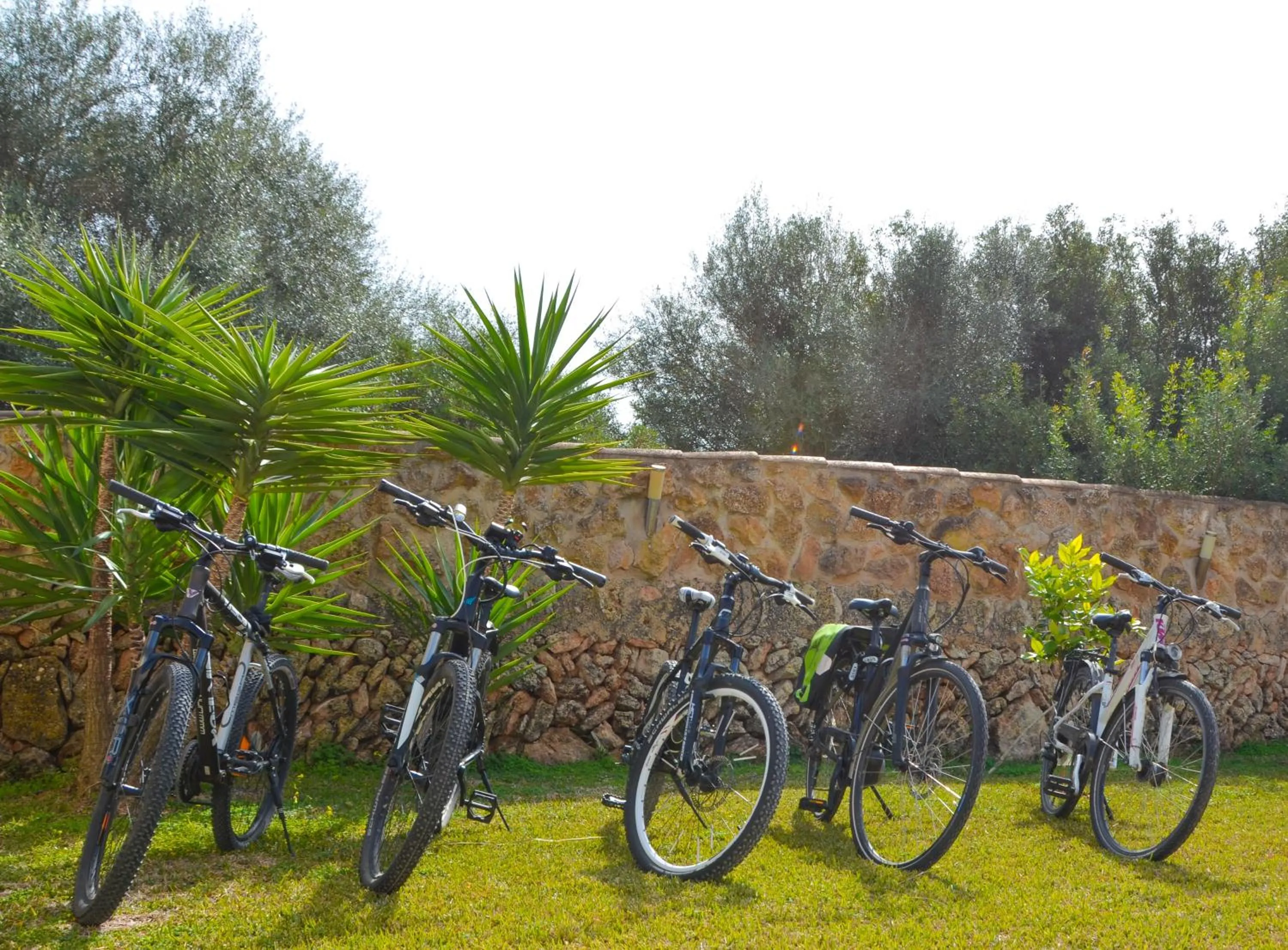 Activities in Finca Amapola - Agrotourismus