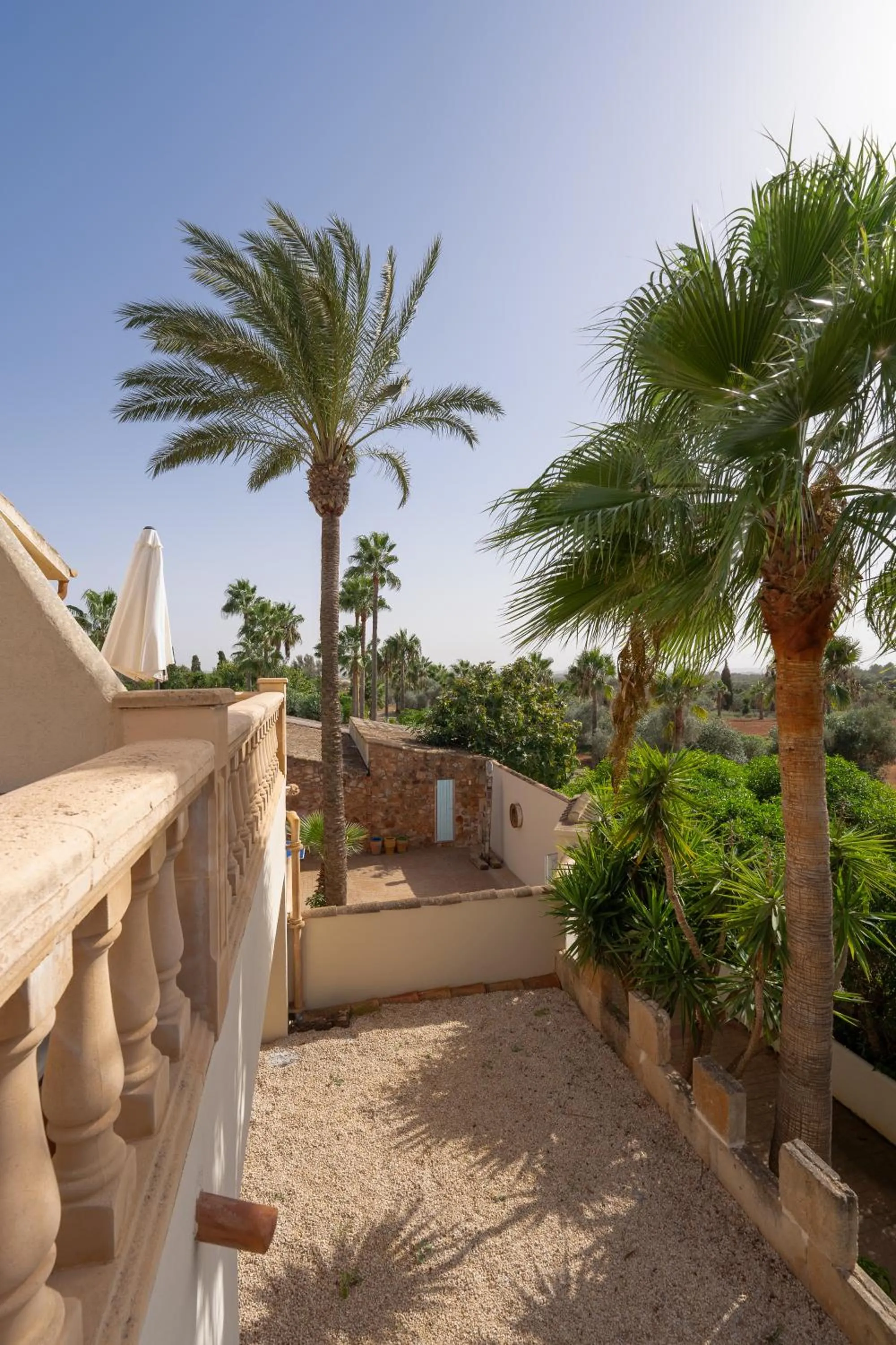 Balcony/Terrace in Finca Amapola - Agrotourismus
