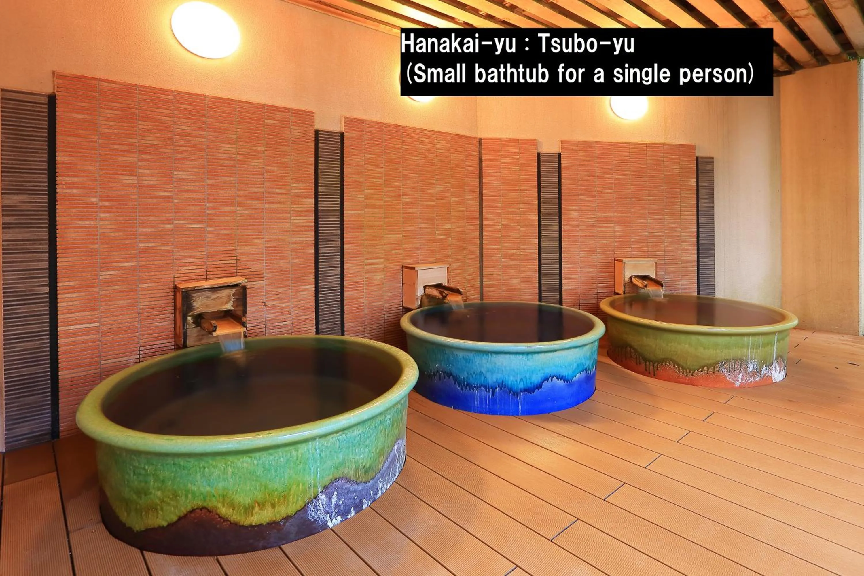 Hot Spring Bath in Manten no Tsujinoya