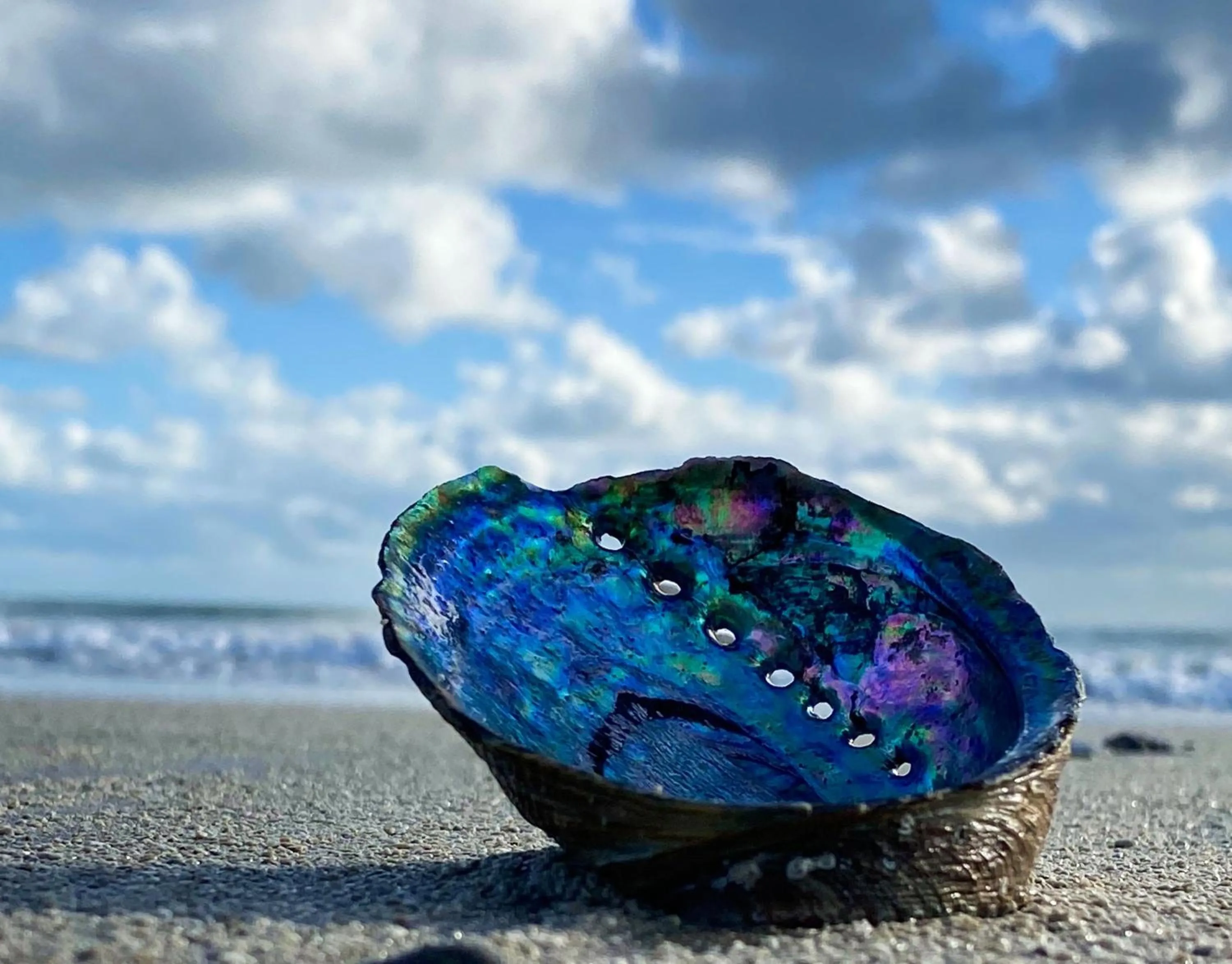 Natural landscape in Mallacoota Hotel Motel