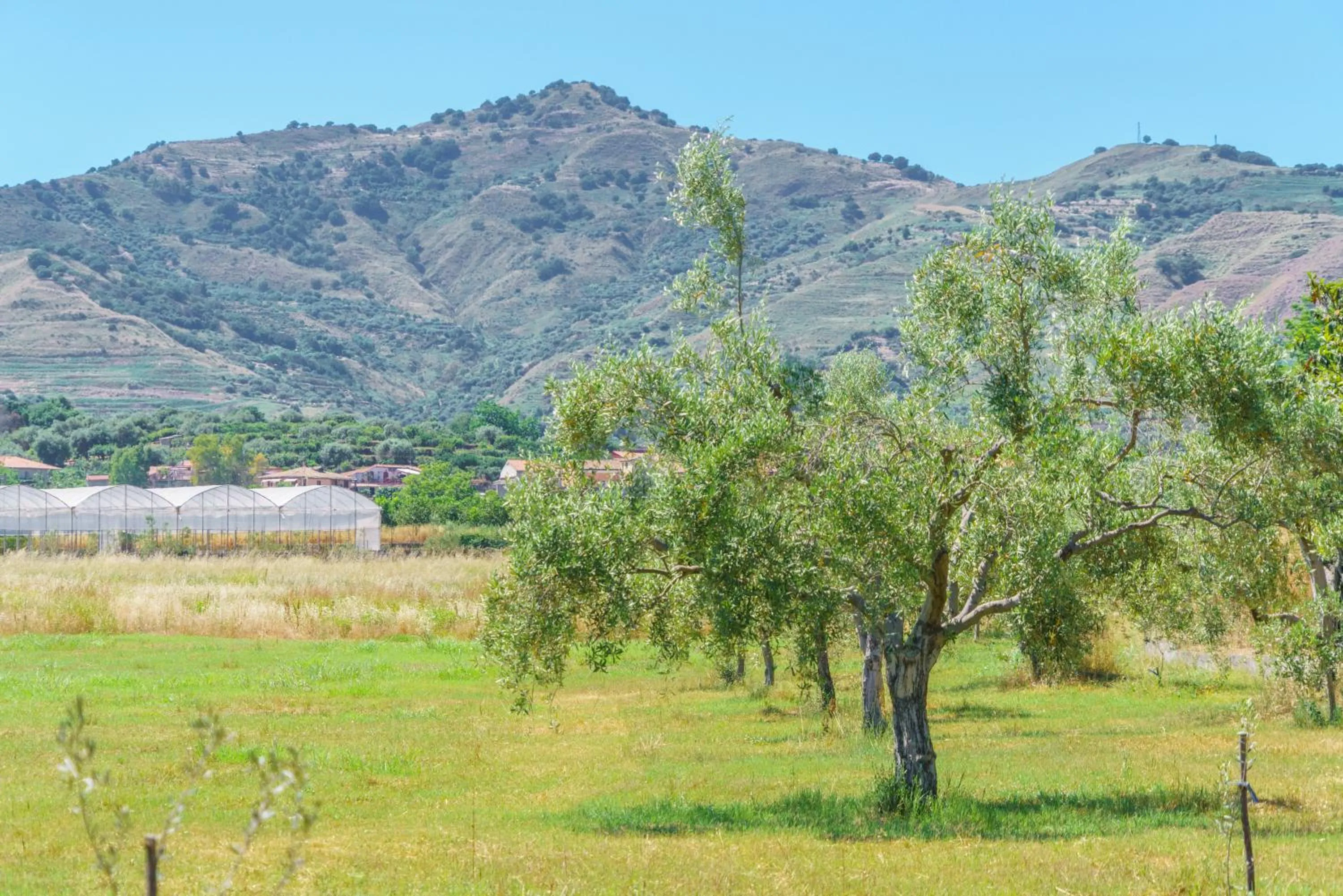Natural landscape in Minissale Farmhouse